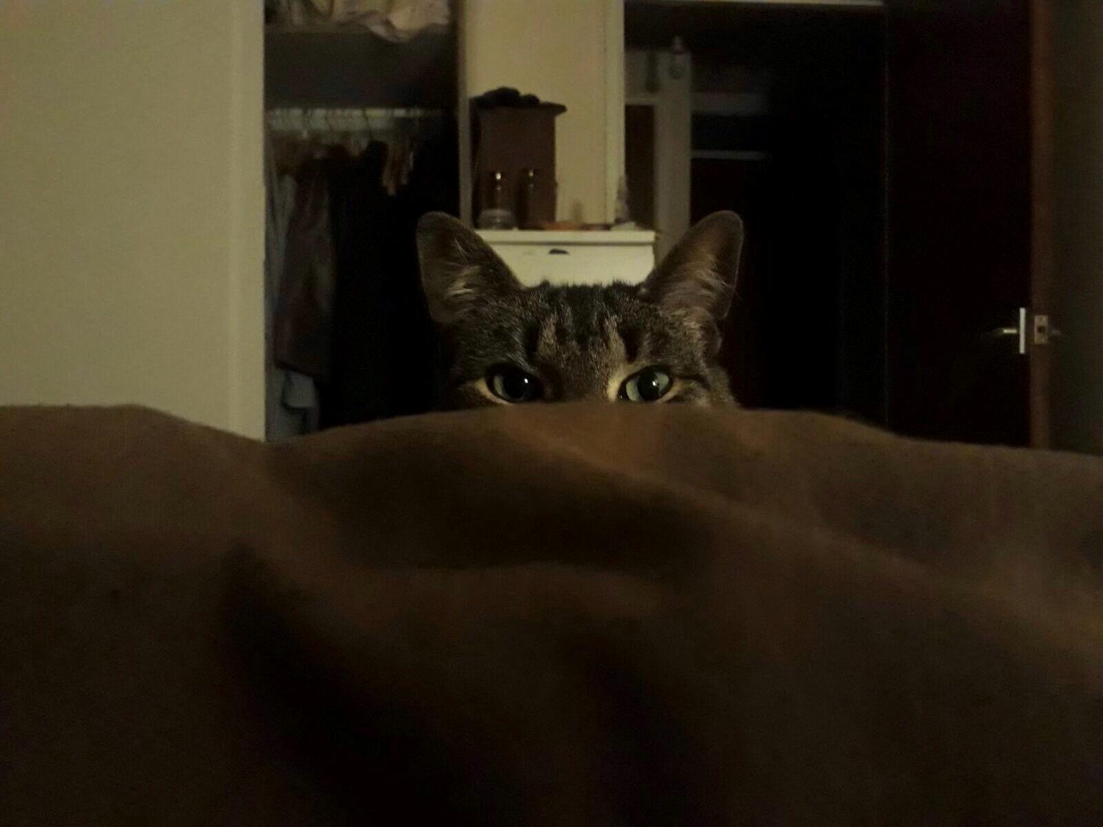 Lily Bean Peepin