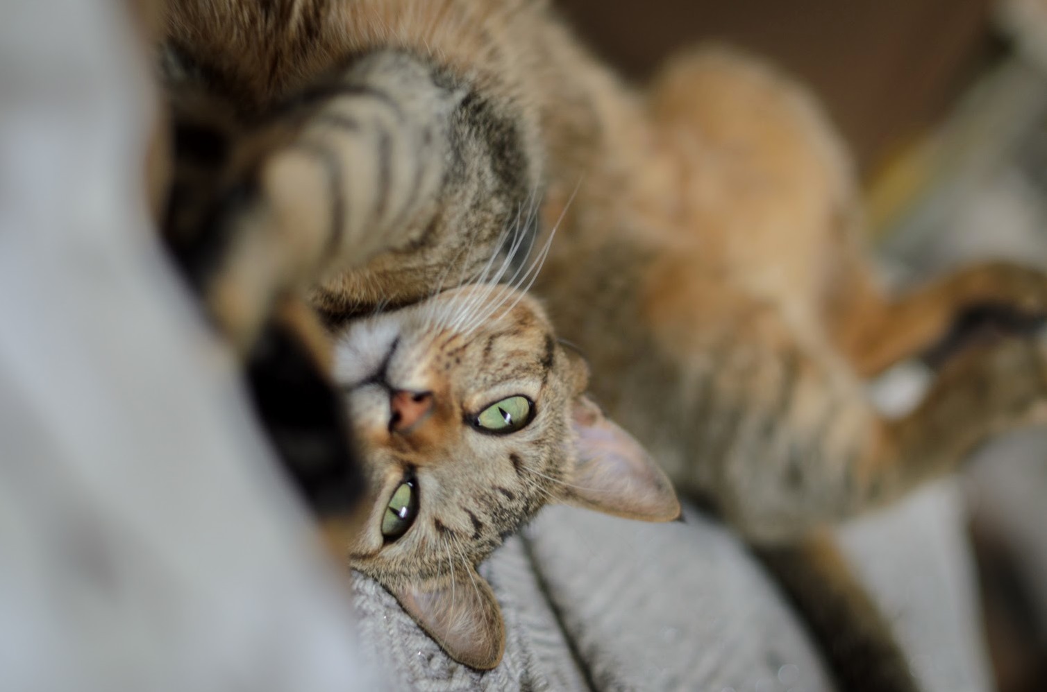 Look at Dem Little Feetsies