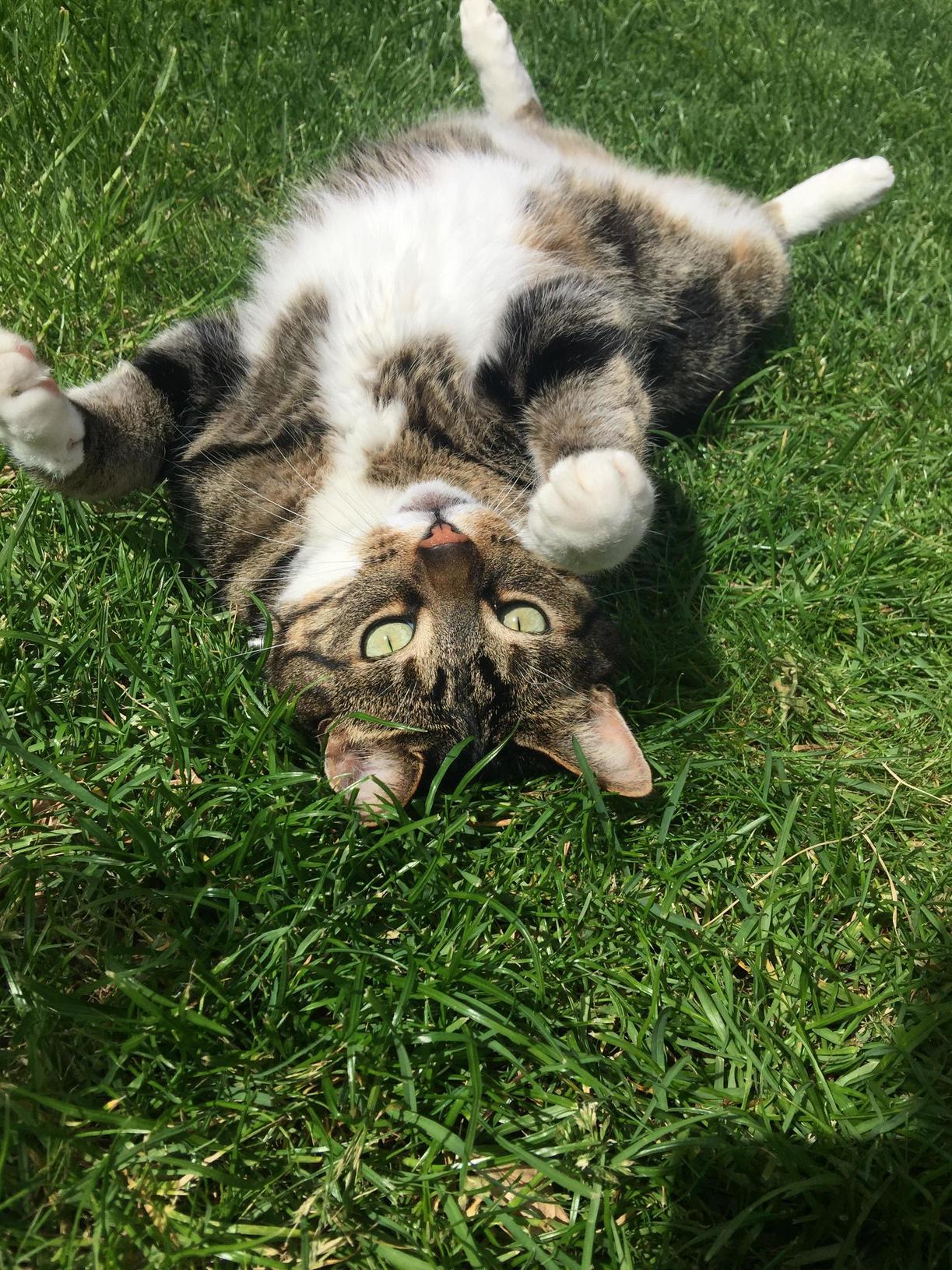 Loving the Sun
