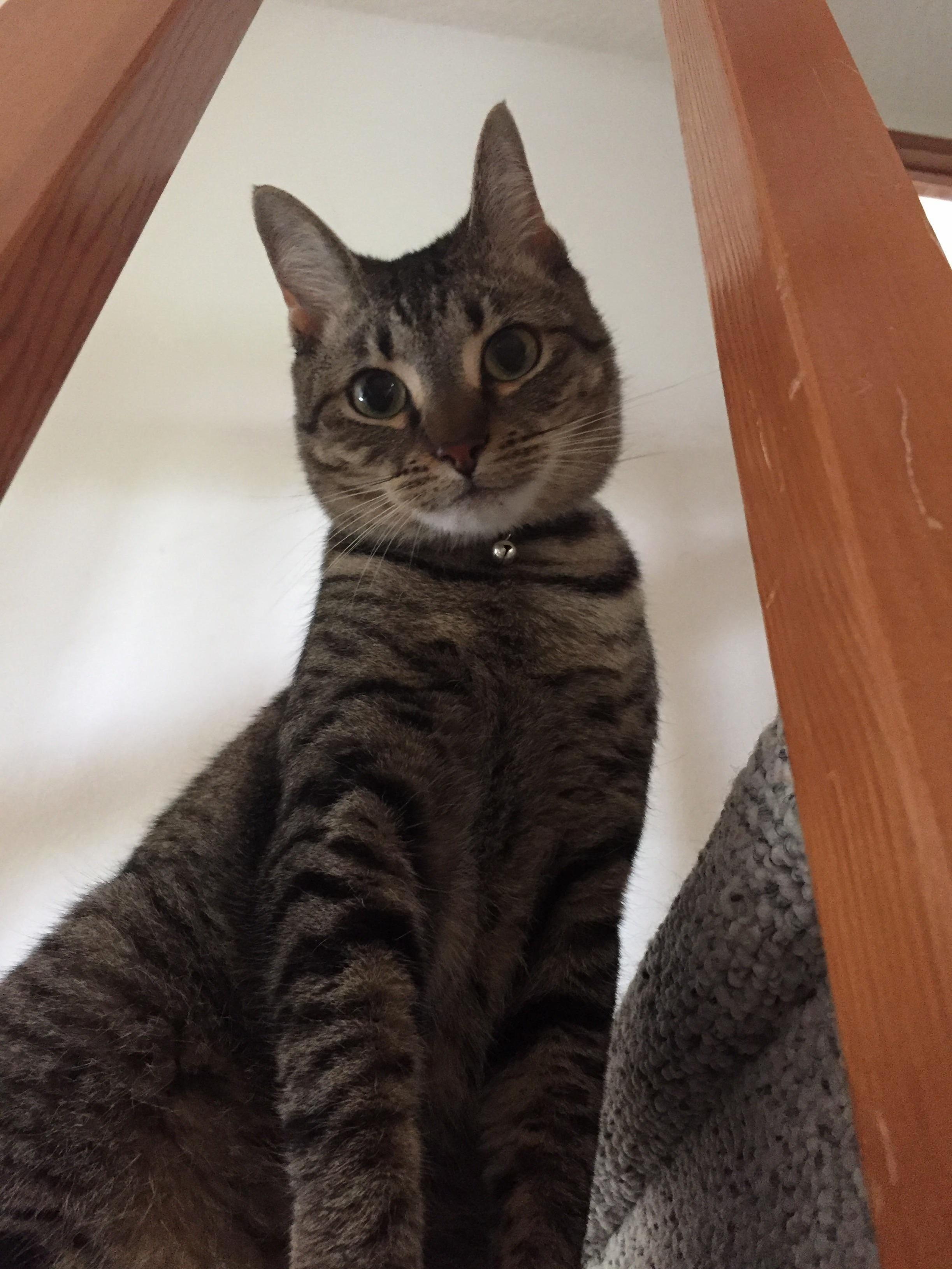 Lucy