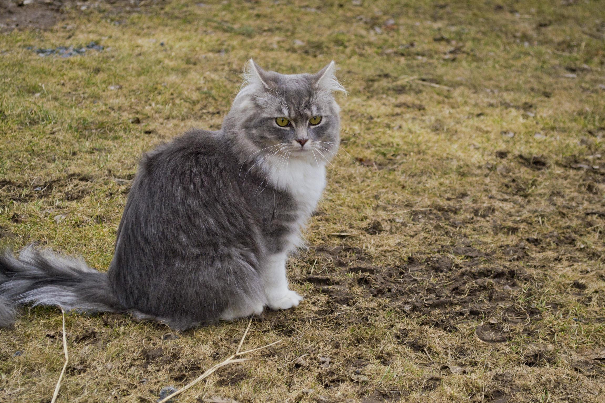 Lurven What Are You Looking at