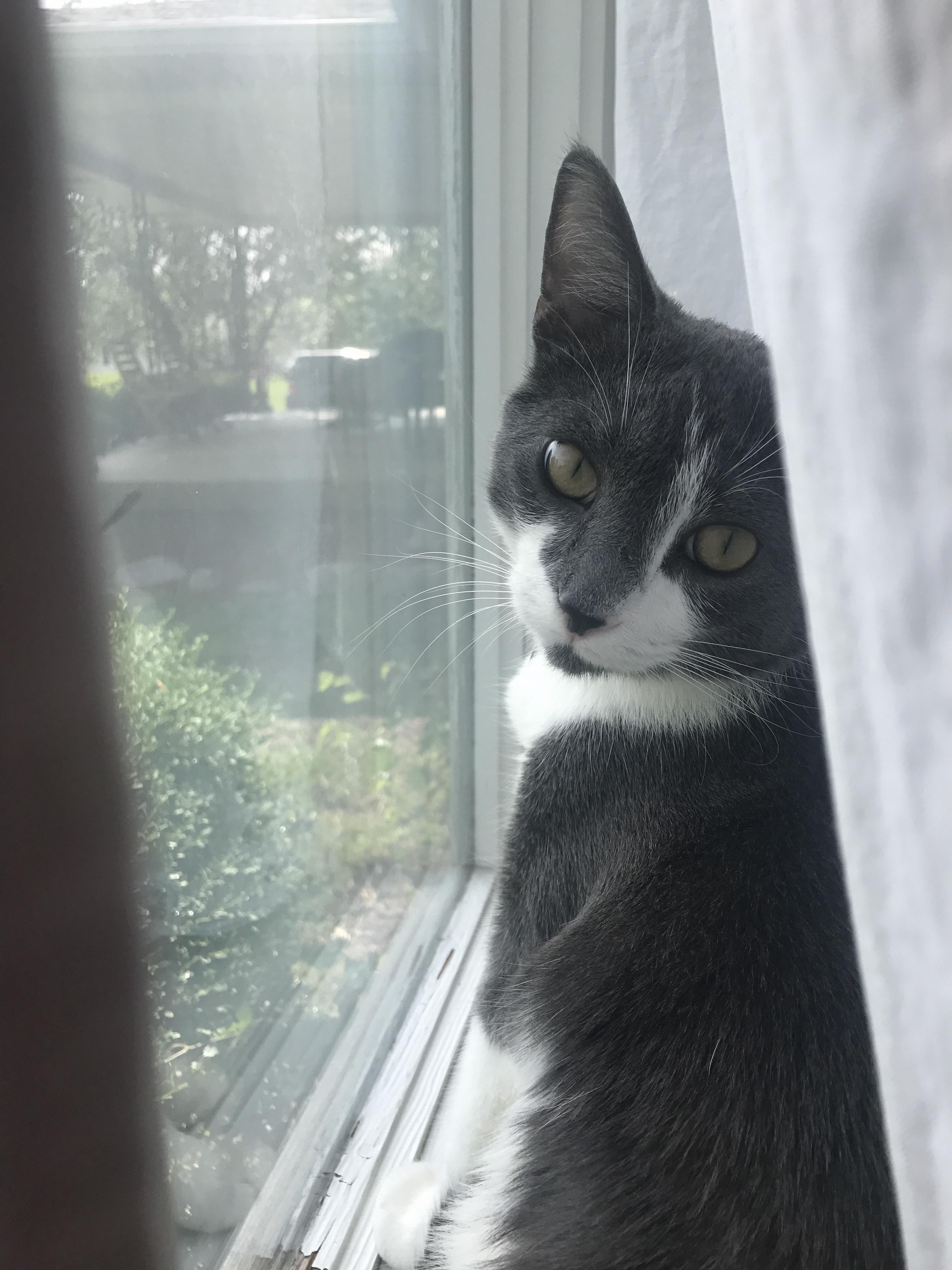 Max Doesnt Like When His Window Time Is Interrupted. Hes a Private Kinda Man.