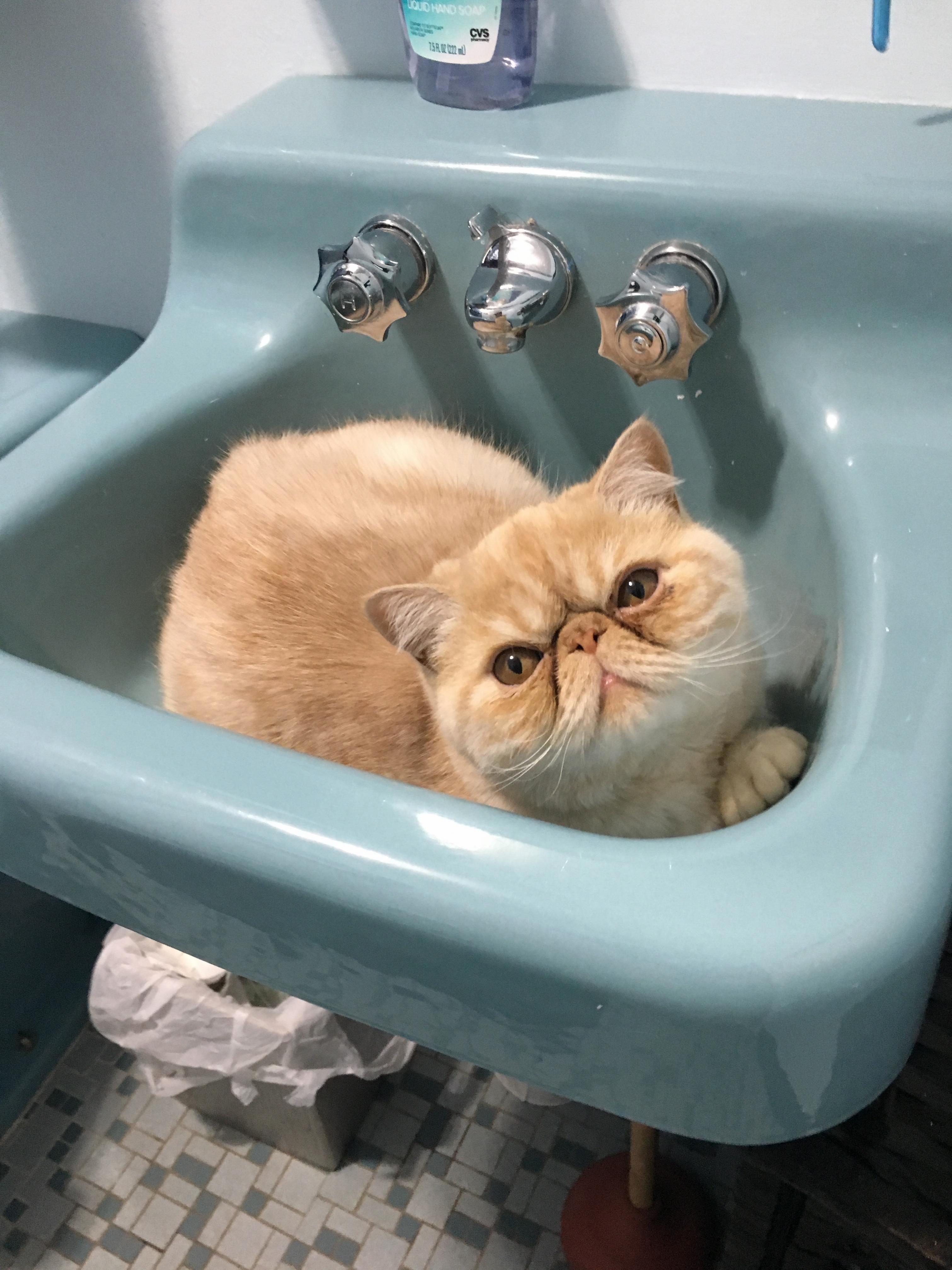 May I Help You