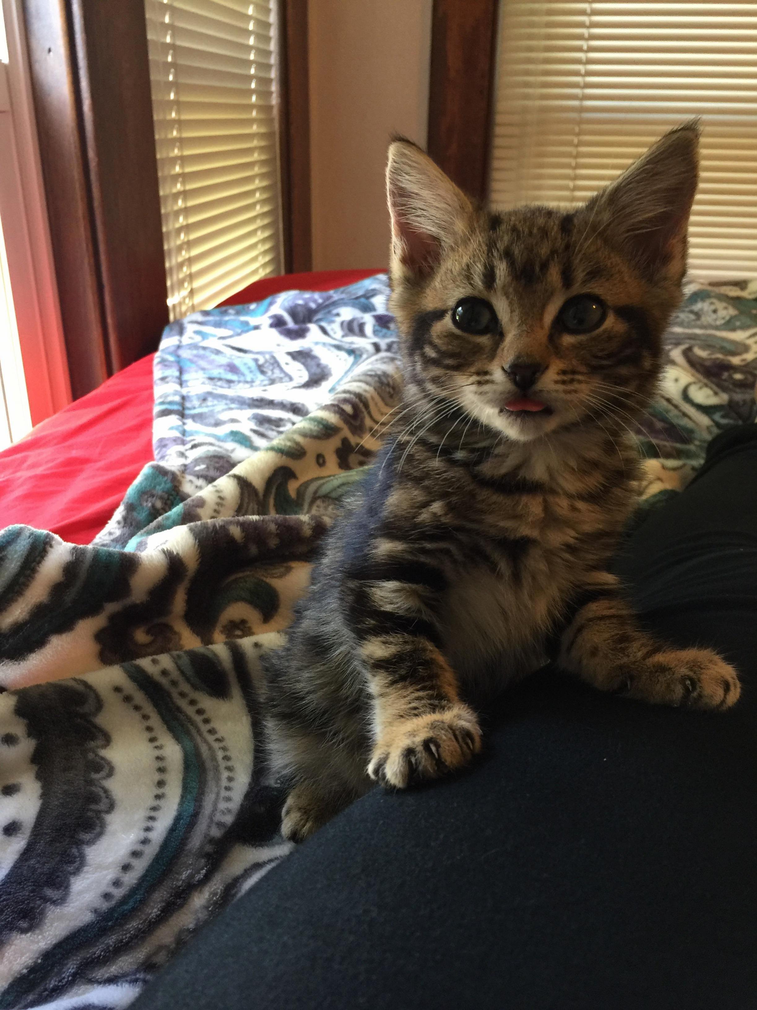 Meet Ari. She Was Found Cold and Alone in a Milk Barn 4 Days Ago.