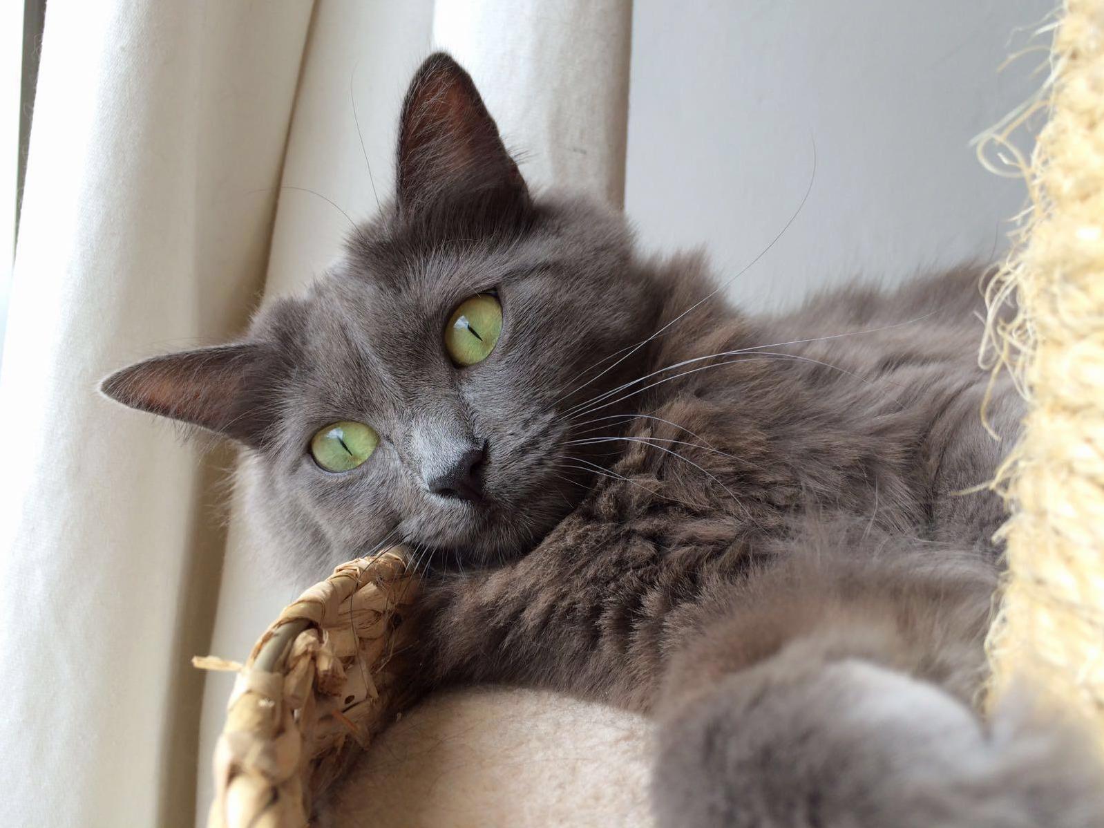 Meet Lazarus. She Almost Died at Birth. Glad She Didn T. She Turned 2 Last Week