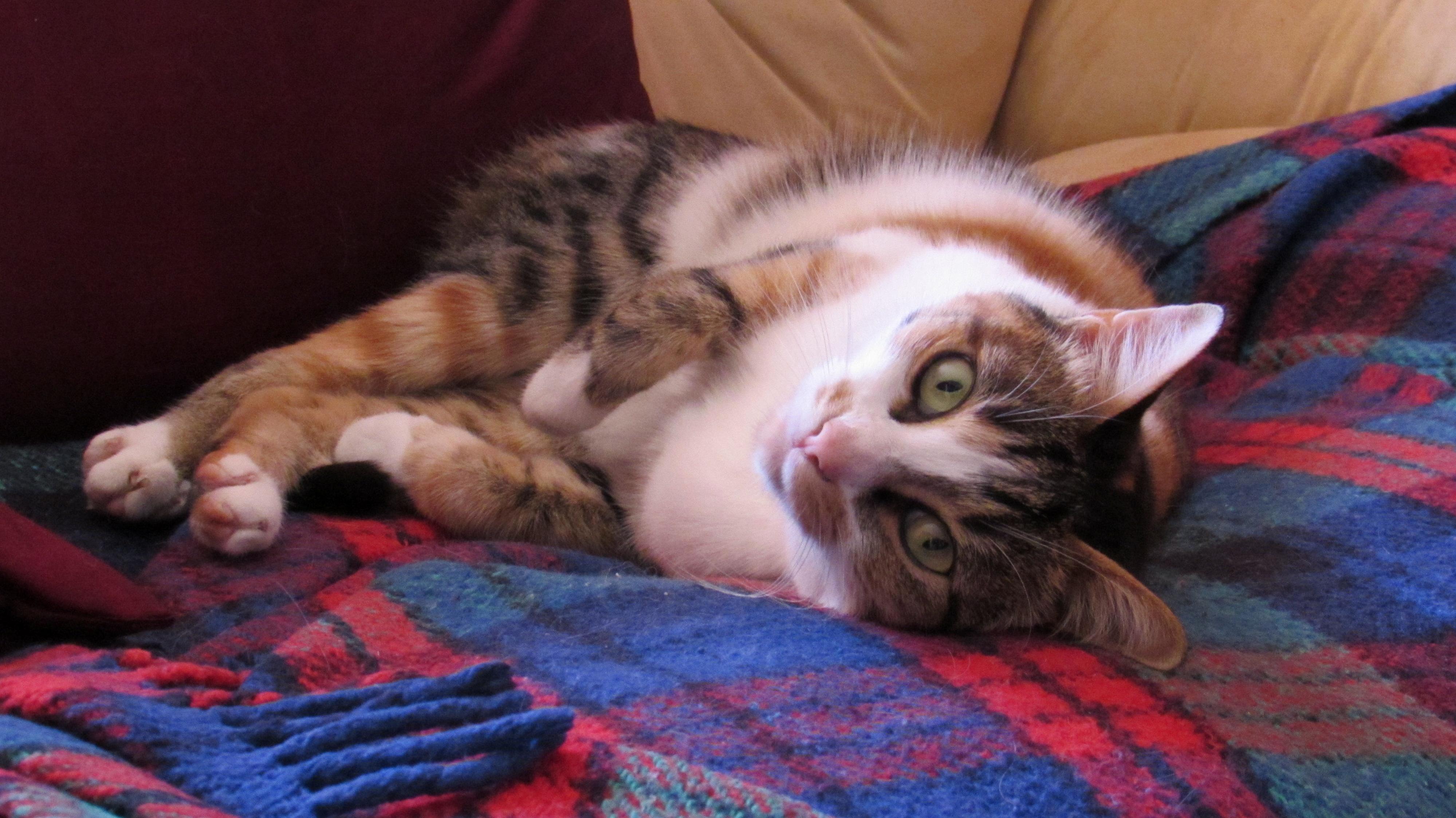Meet Lindsay. Shes Not This Photogenic Usually