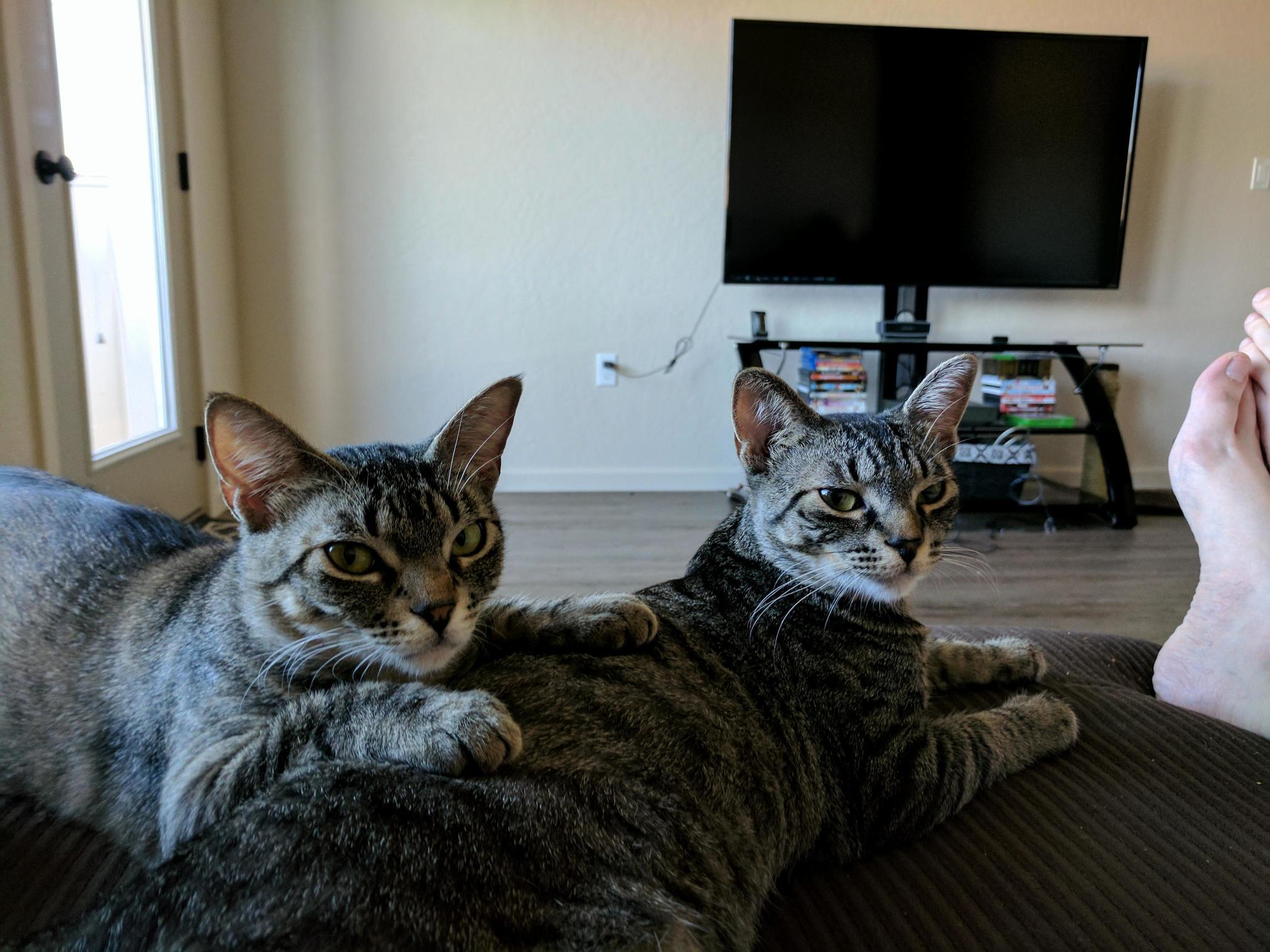 Meet Vim and Emmi