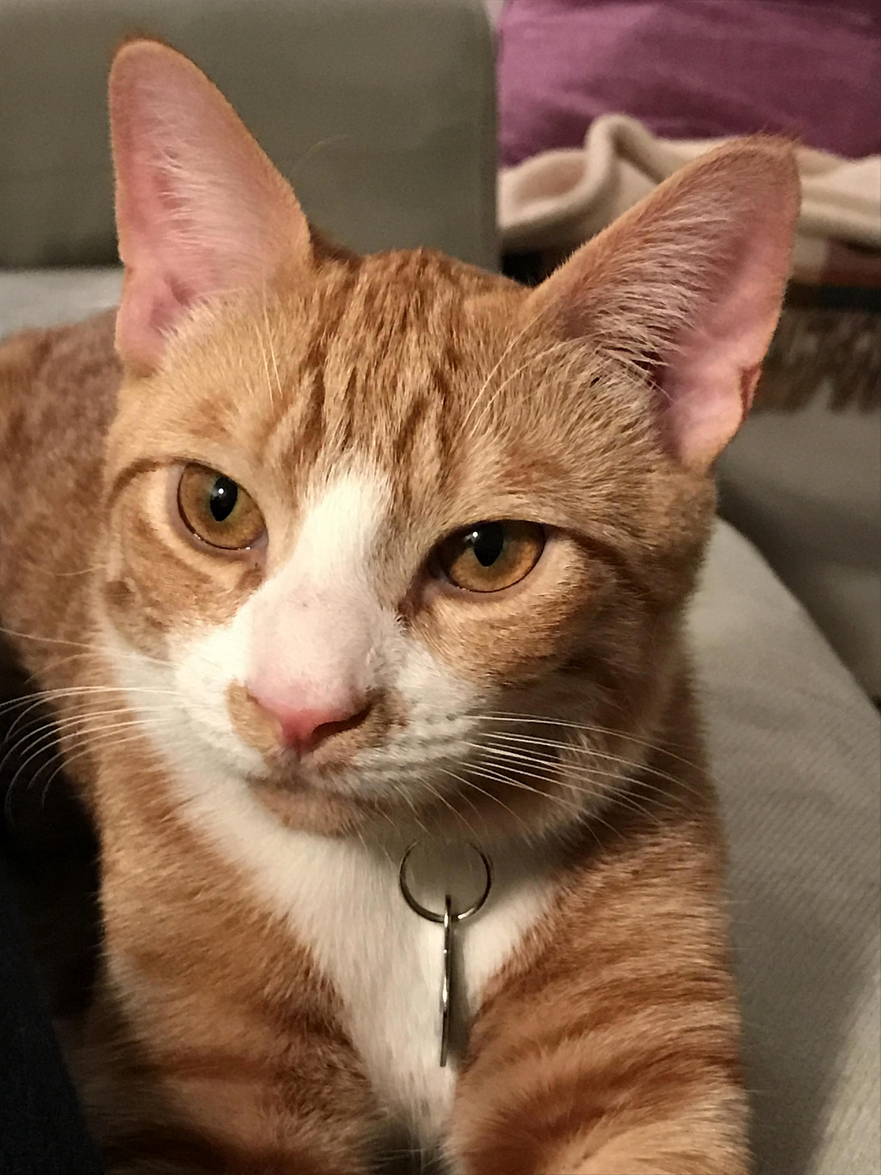 Mitchell Knows Hes a Handsome Boy