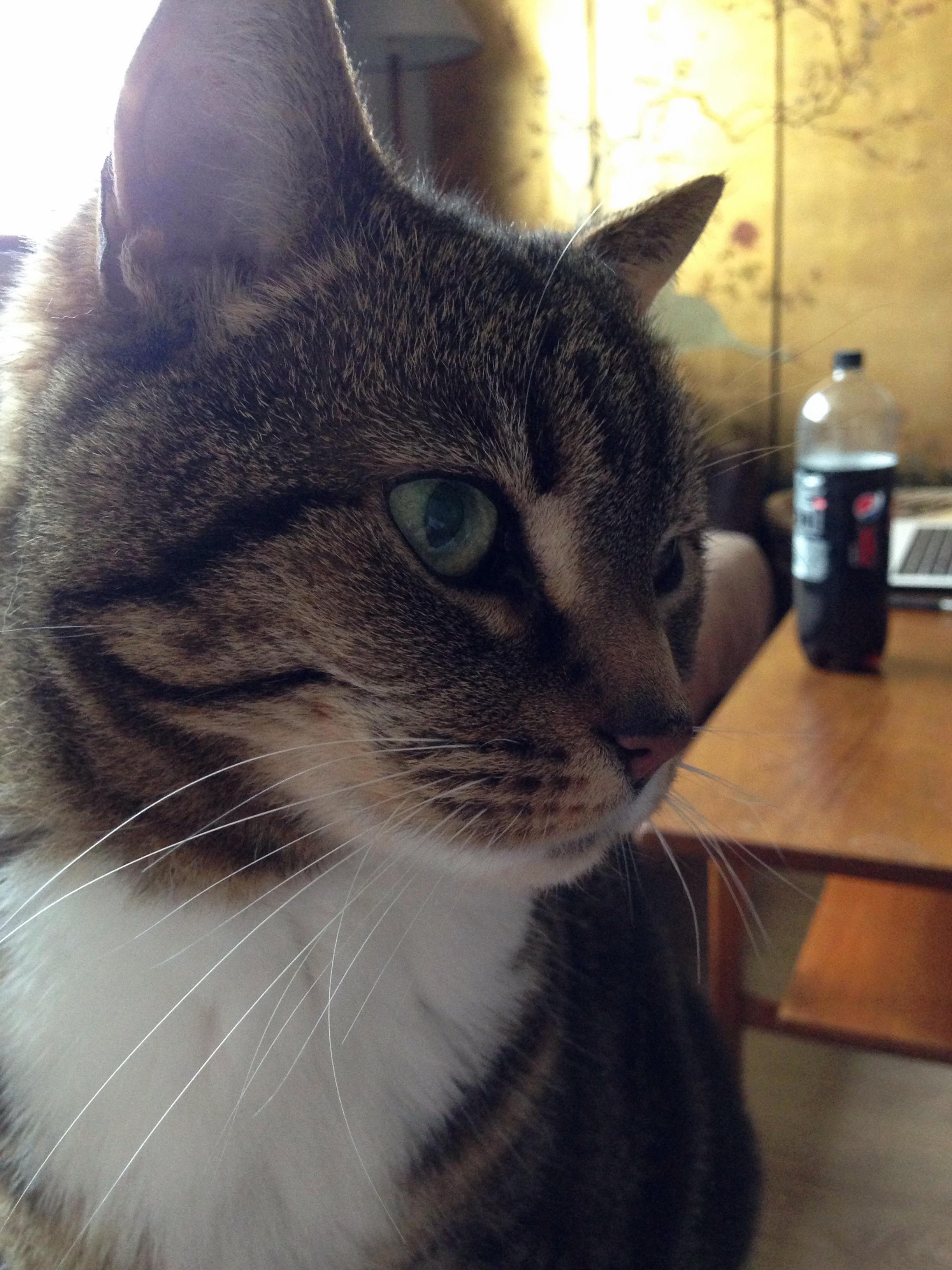 My 11 Year-old Girl Georgia