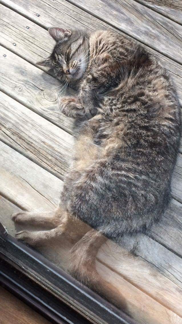My 17 Year Old Girl Daisy Enjoying the Sun