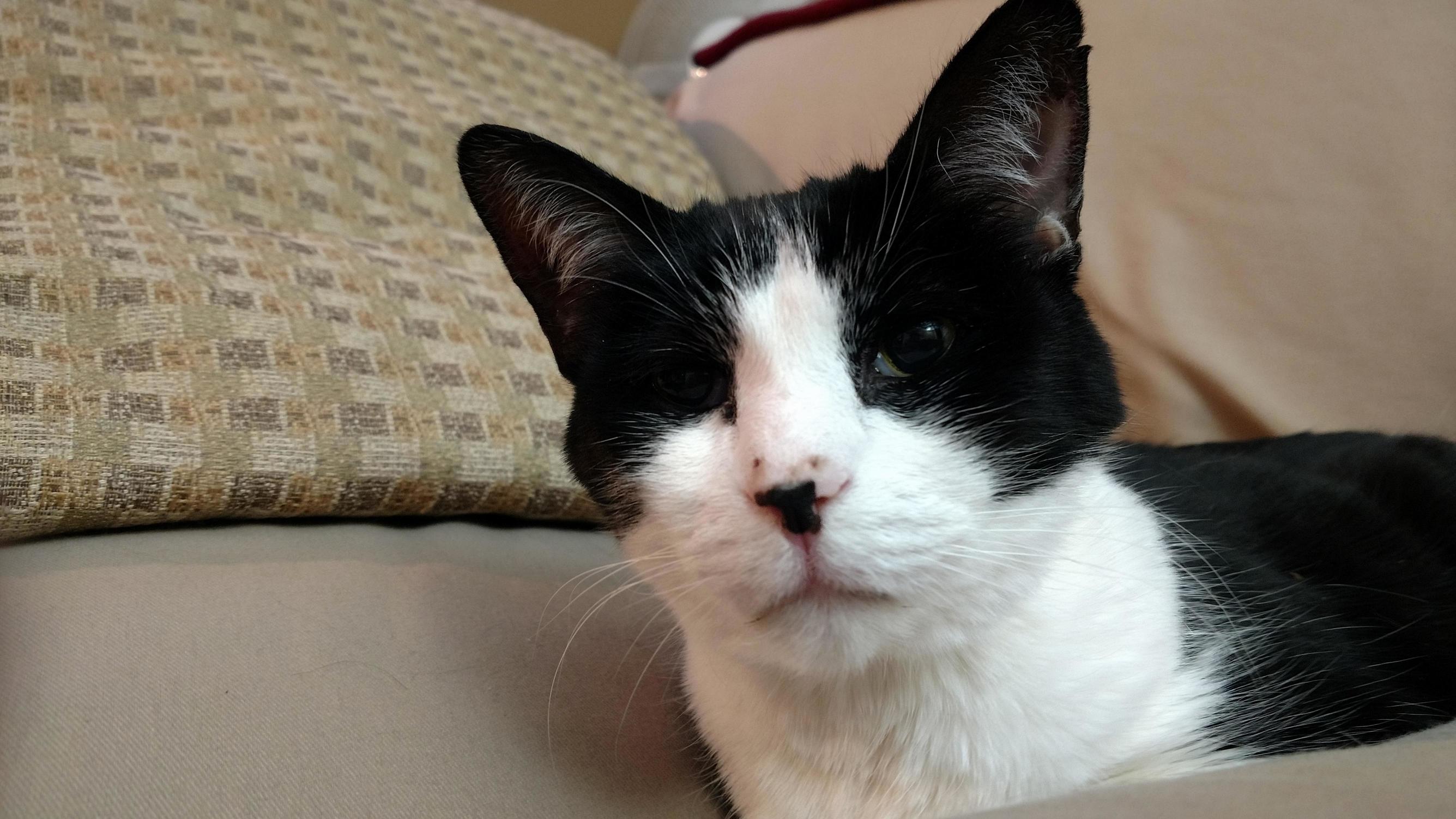 My 17 Year Old Seems Off Today...