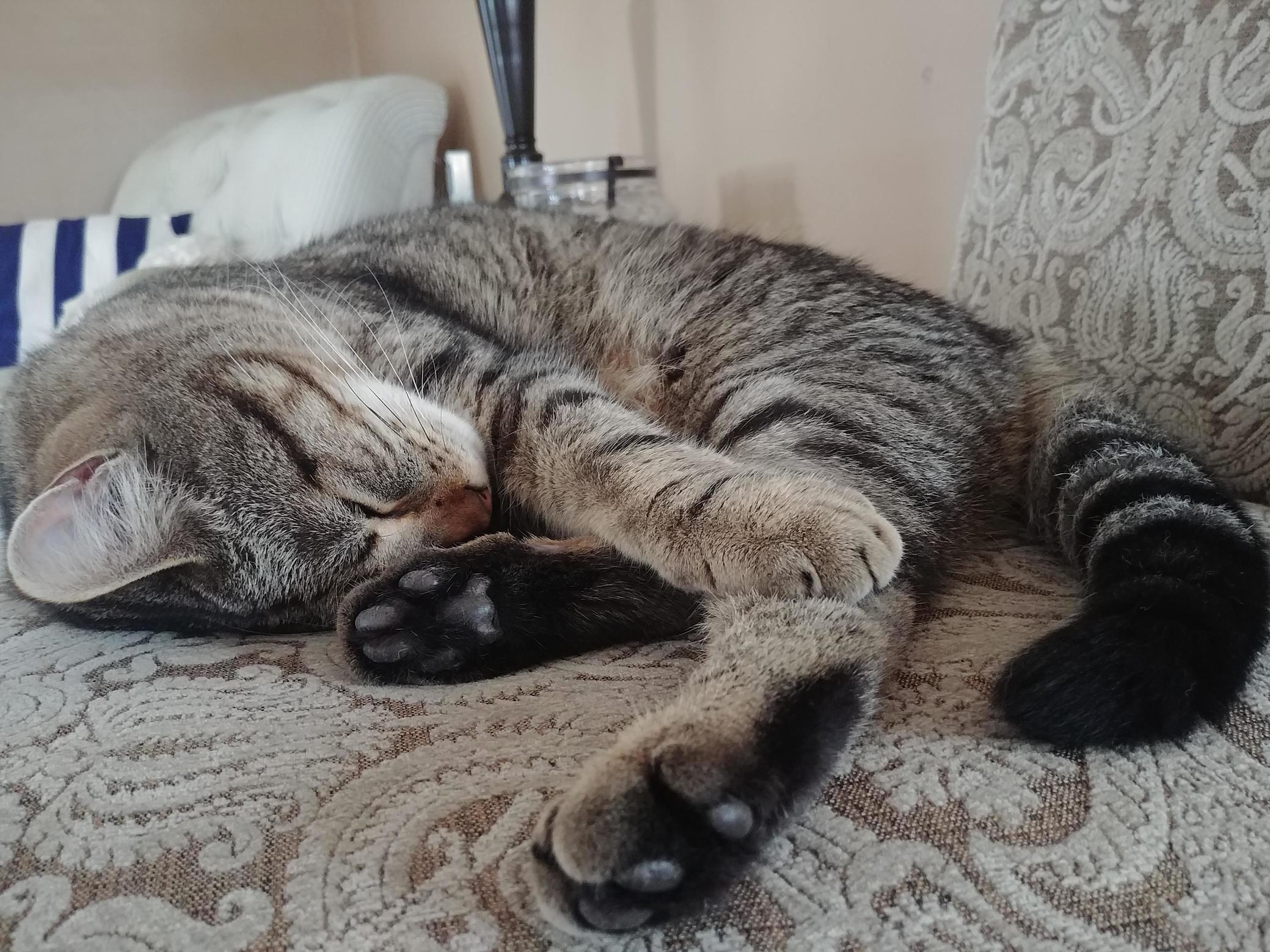 My Baby Timber