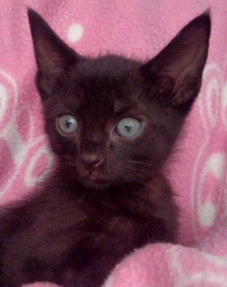 My Babys Baby Picture