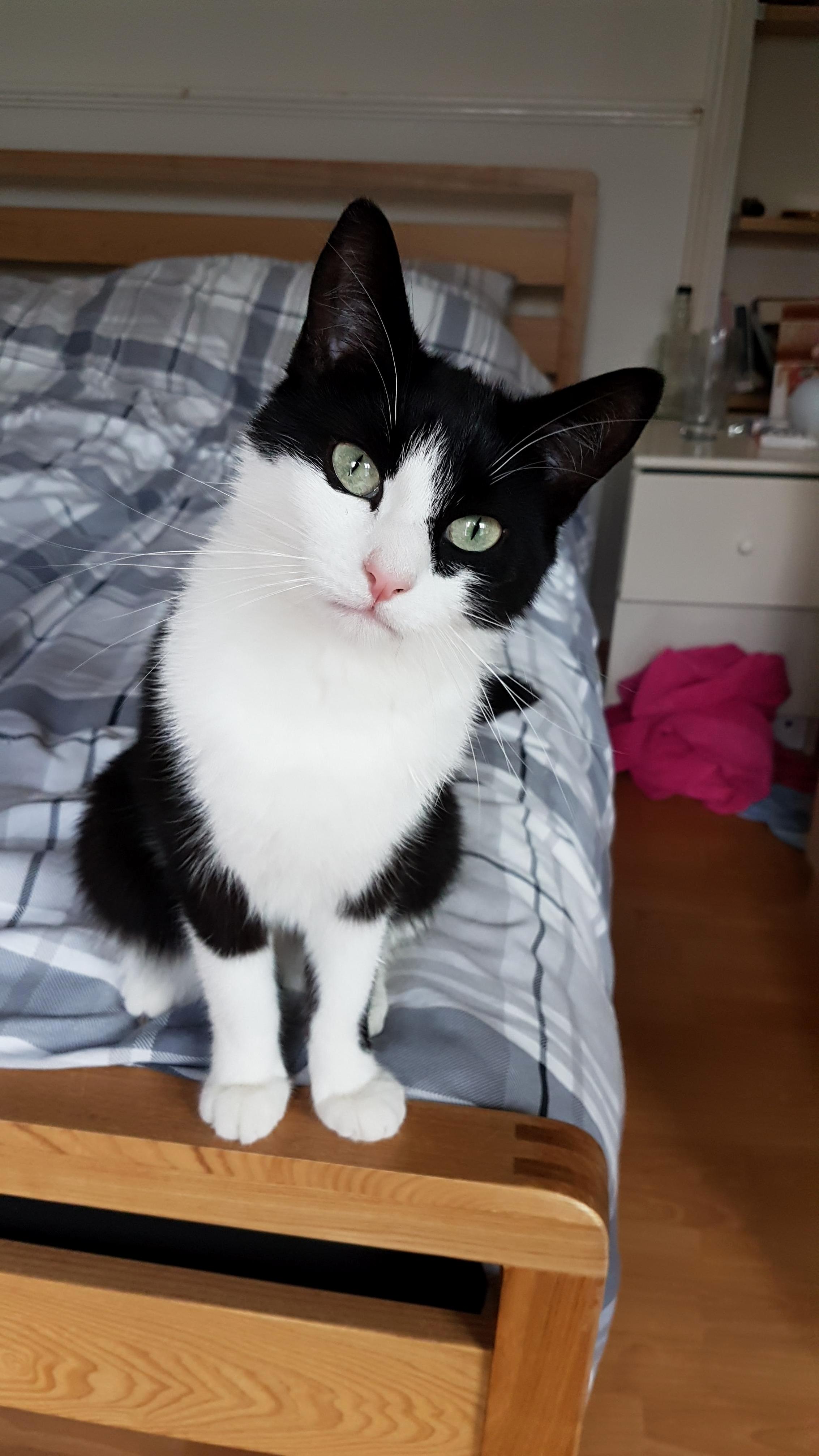 My Beautiful Bonnie. Shes My Favourite Girl.