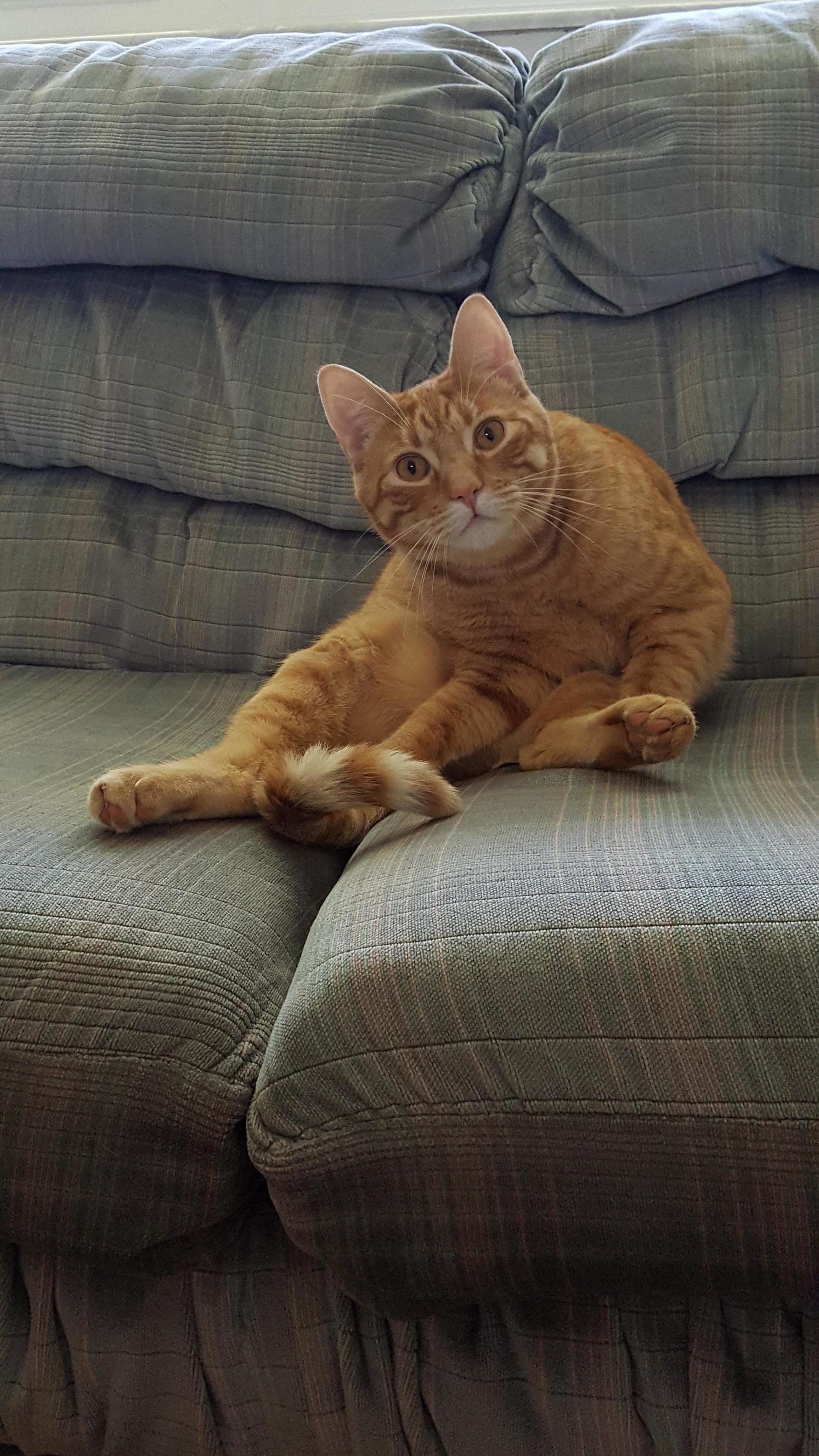My Boy Neil Chooses Some Weird Positions