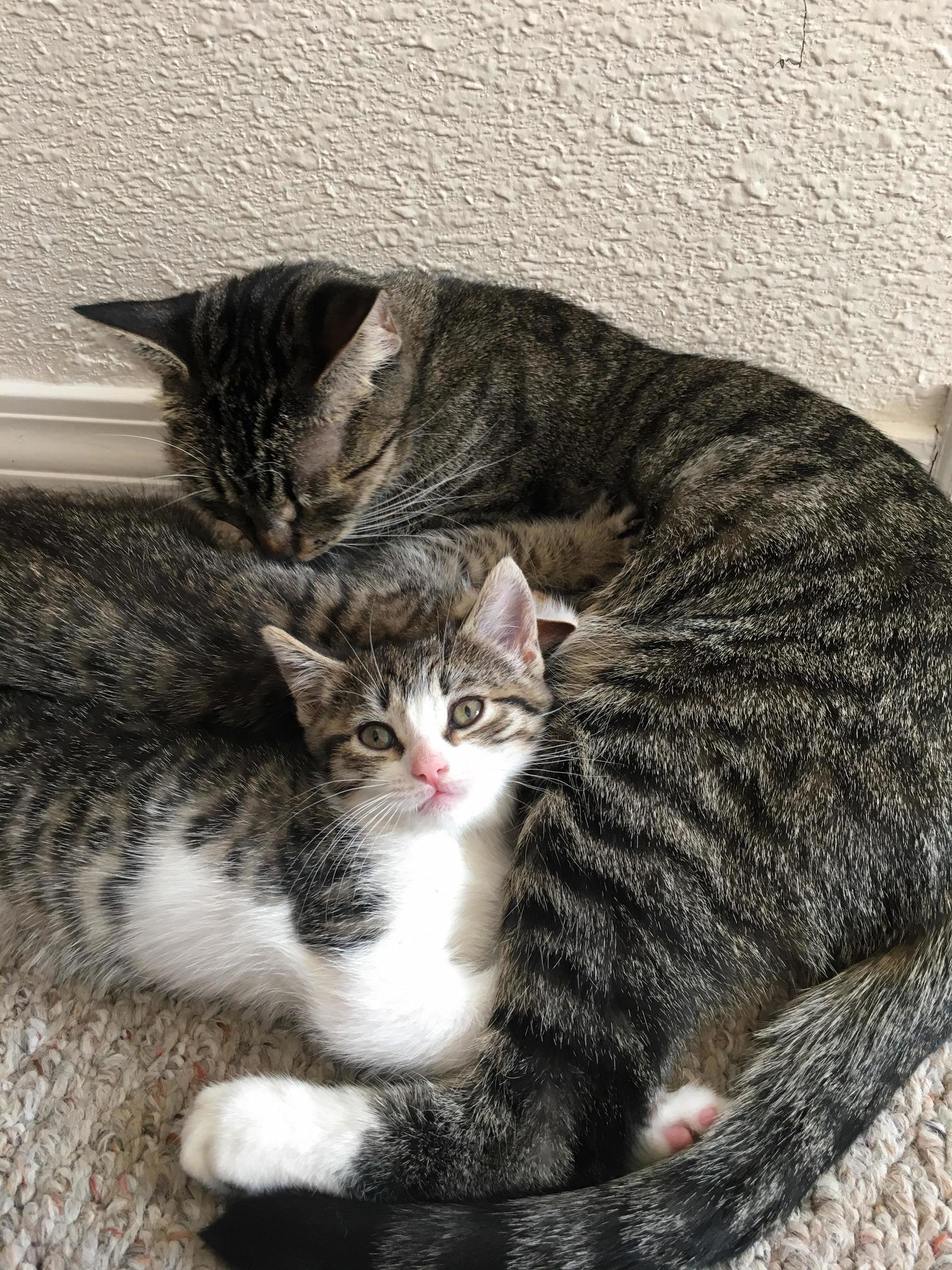 My Child and Her Children