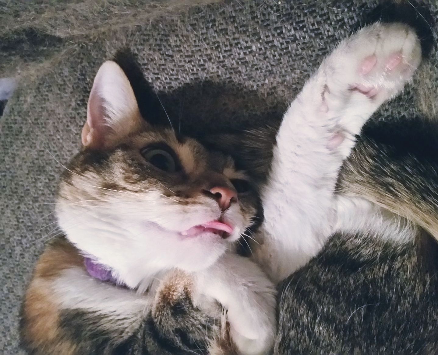 My Favorite Picture of Her