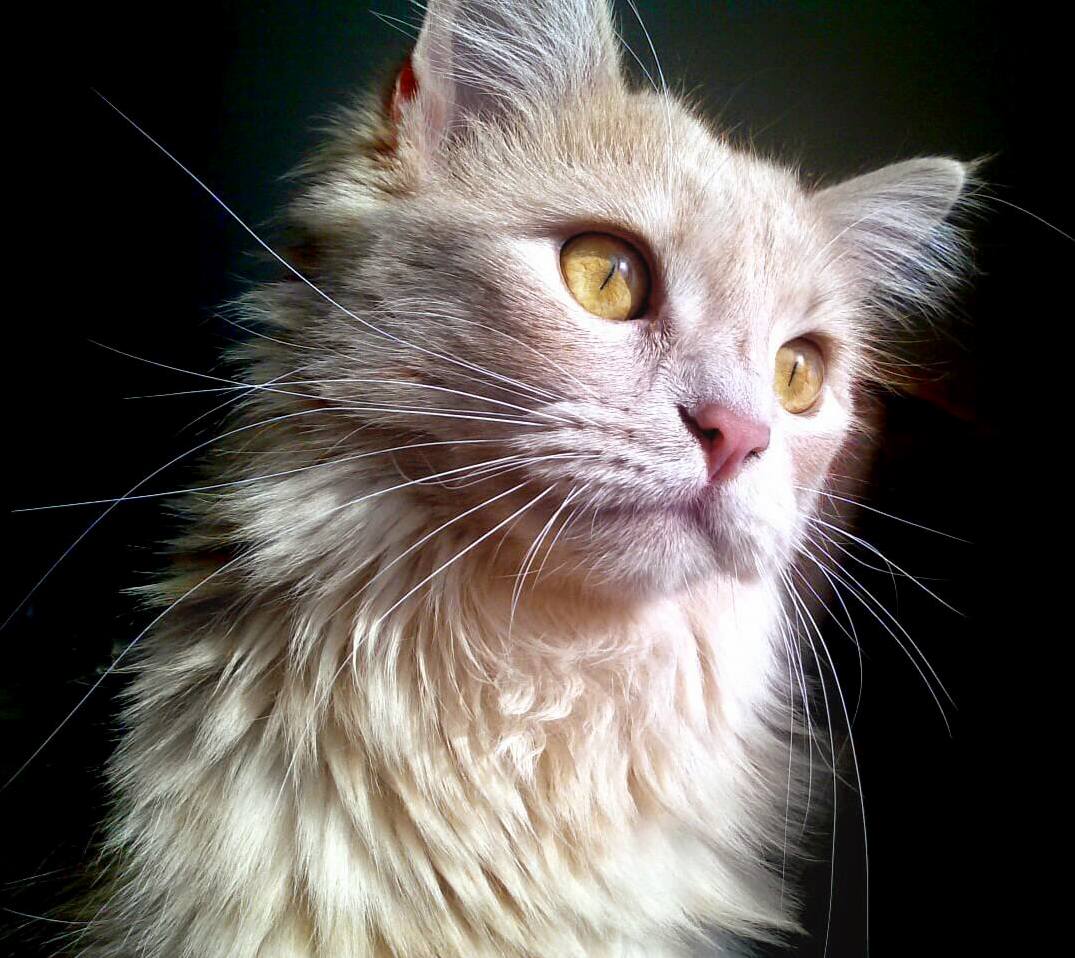 My Favorite Picture of My Favorite Thing