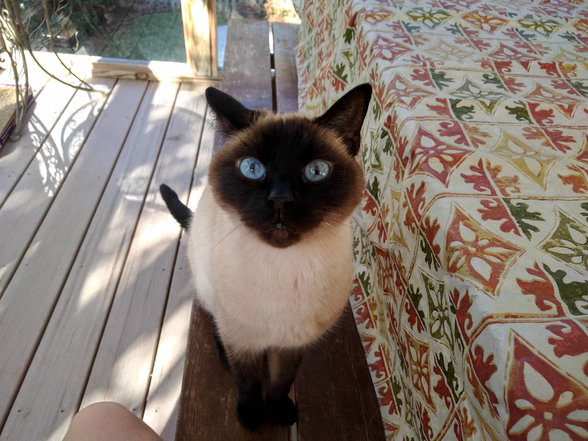 My Favorite Picture of Neo