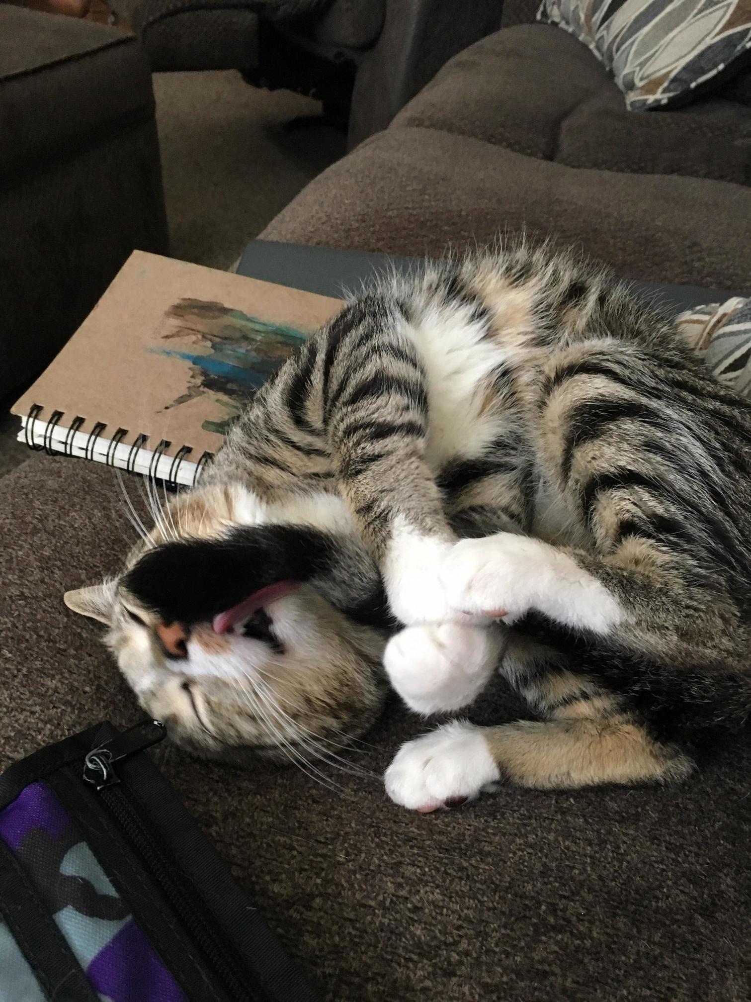 My Girlfriend Sent a Picture of Our Adorable Dumbass While I Was at Work