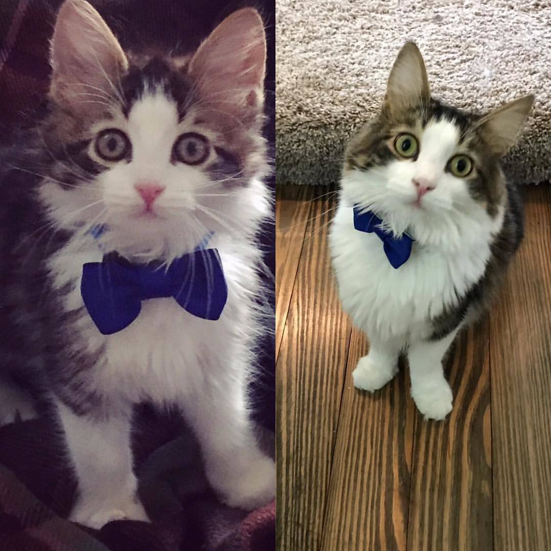 My Little Boy Odin 1 Year Later
