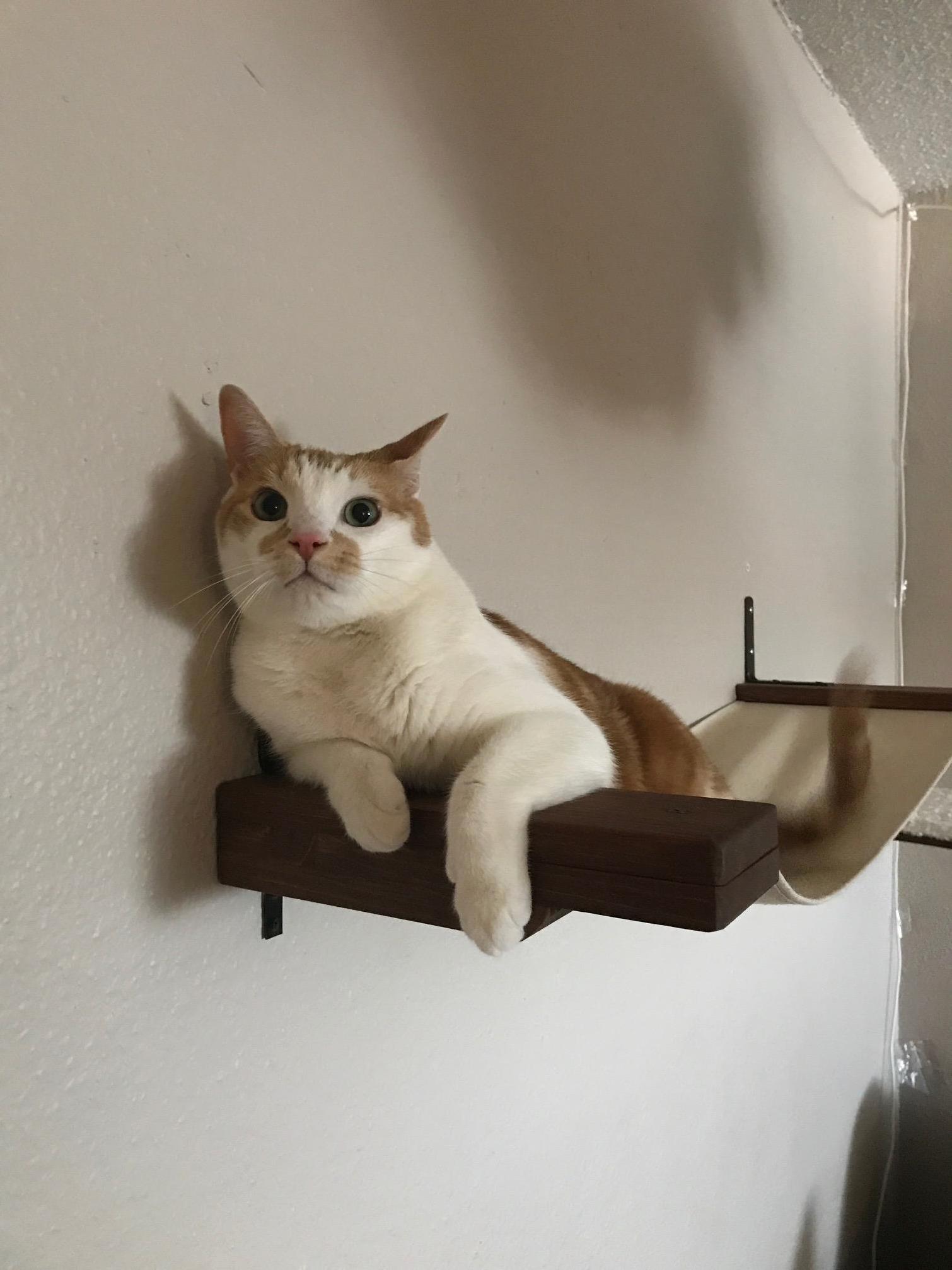 My Little Ham Being a Dork