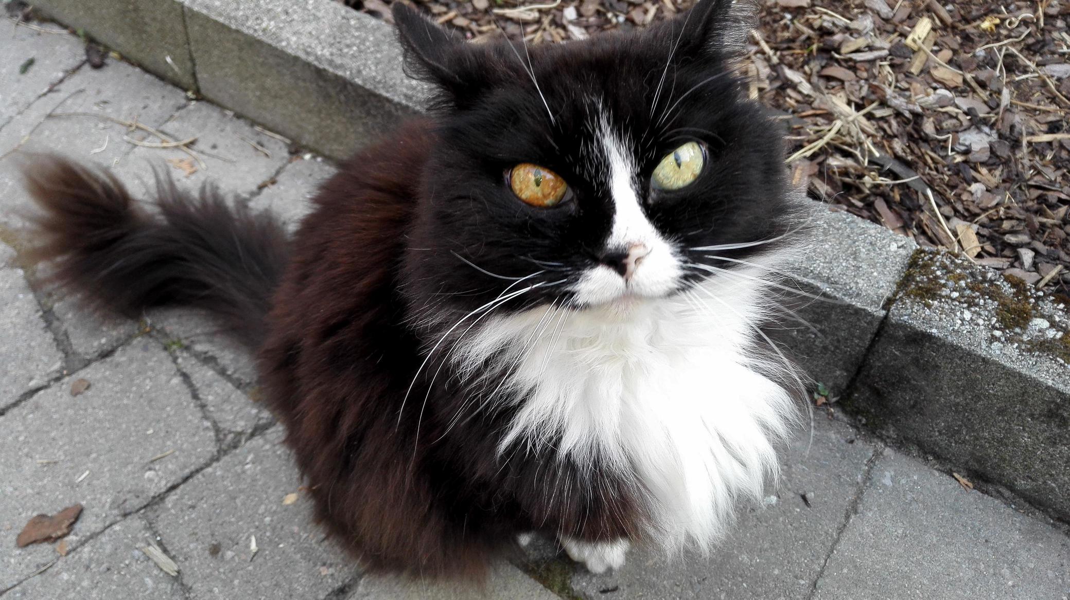 My Moms 15 Year Old Little Girl Buste.