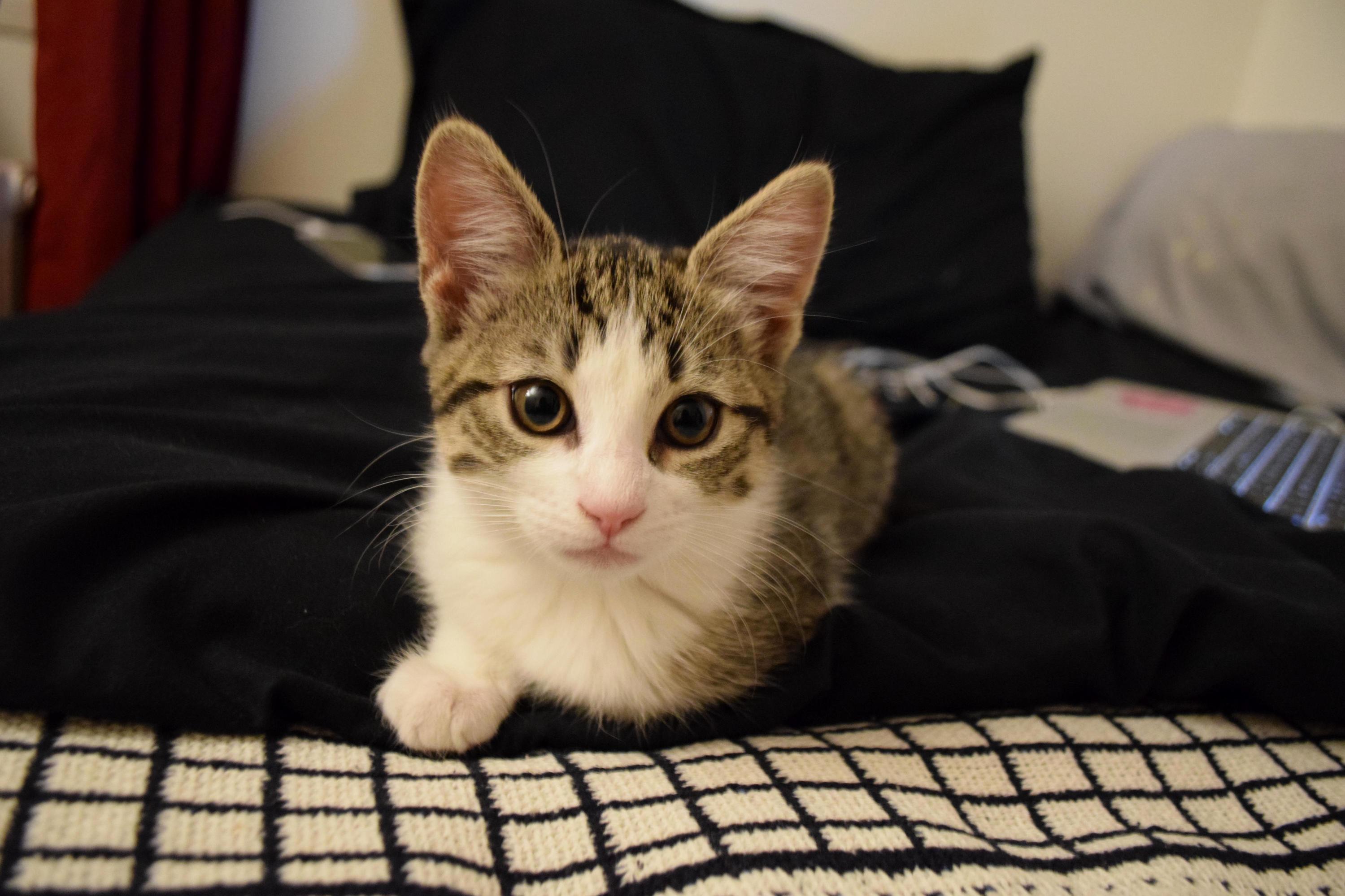 My New 2 Month Old Girl