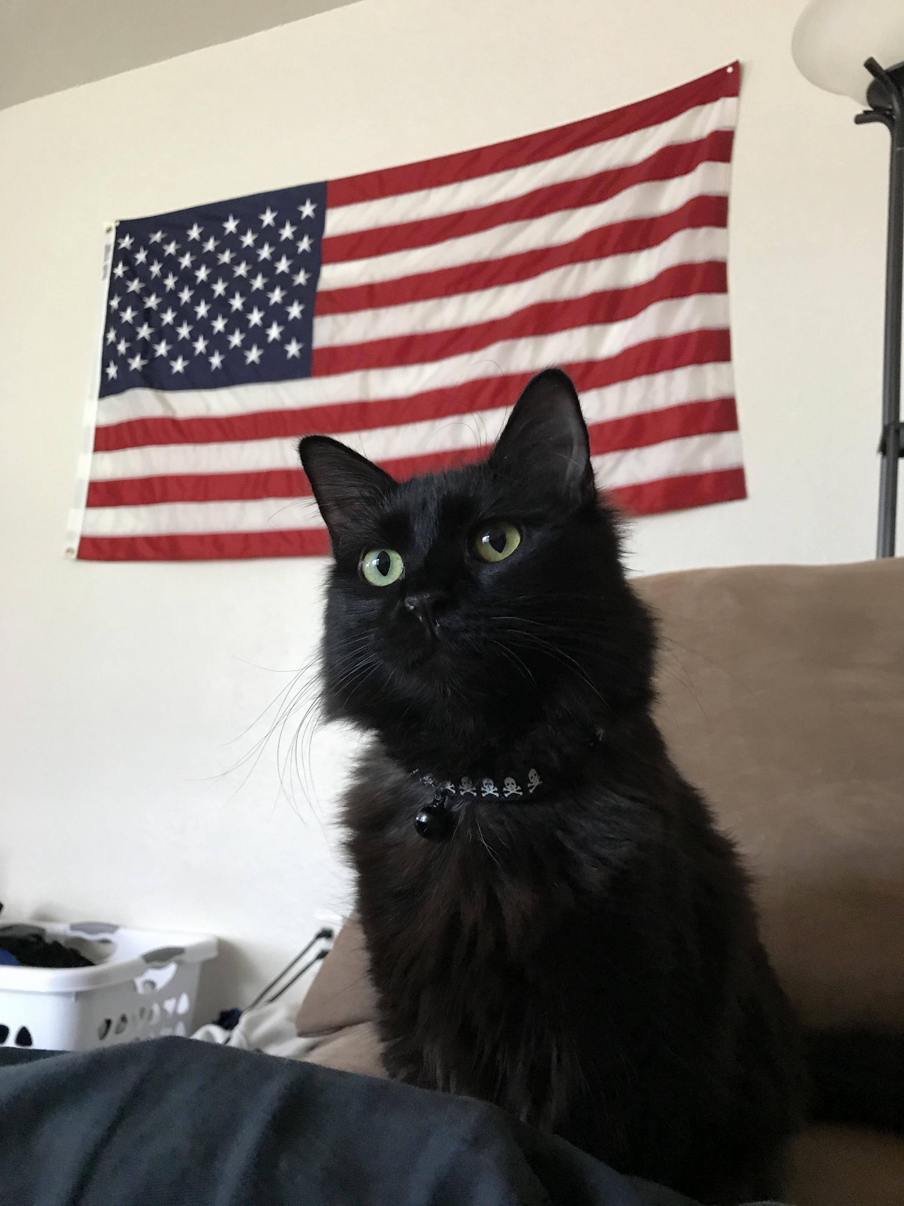 My Patriotic Best Bud Baggs