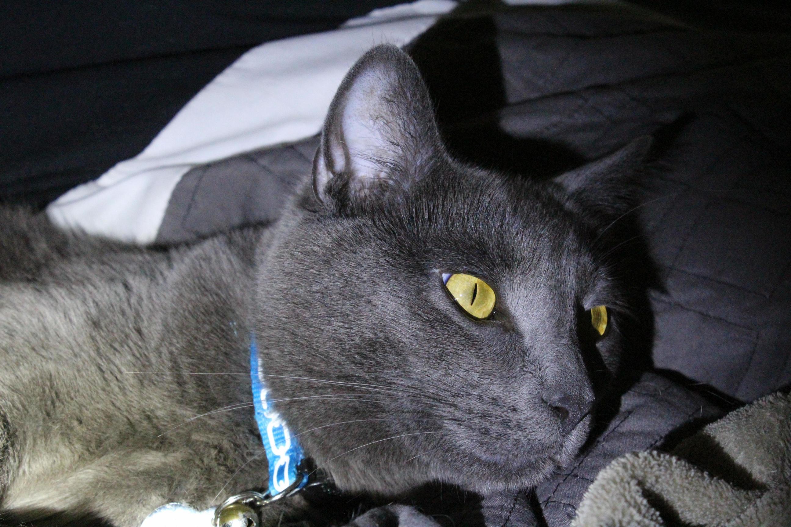 My Seymour