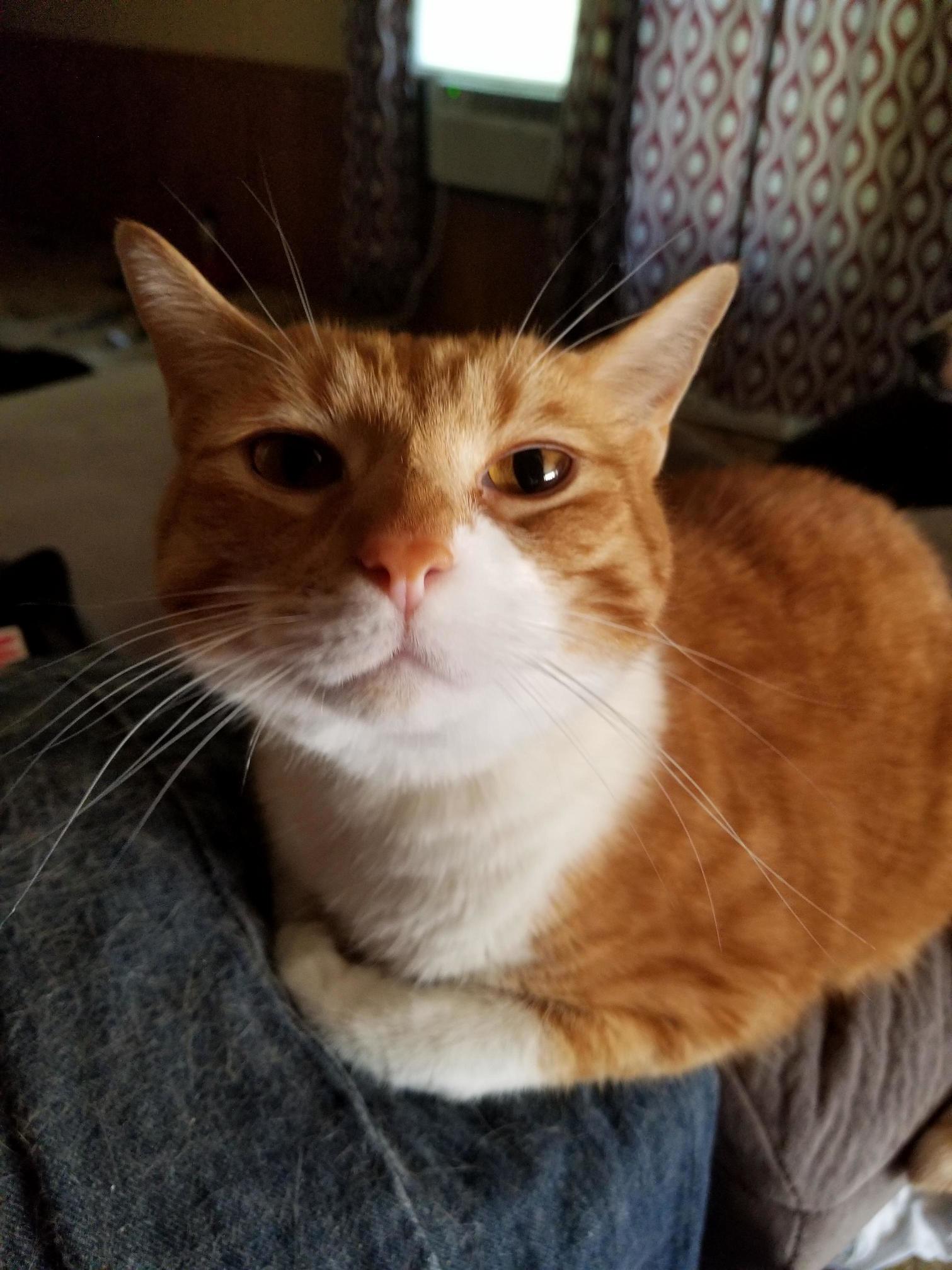 My Sweet Boy.