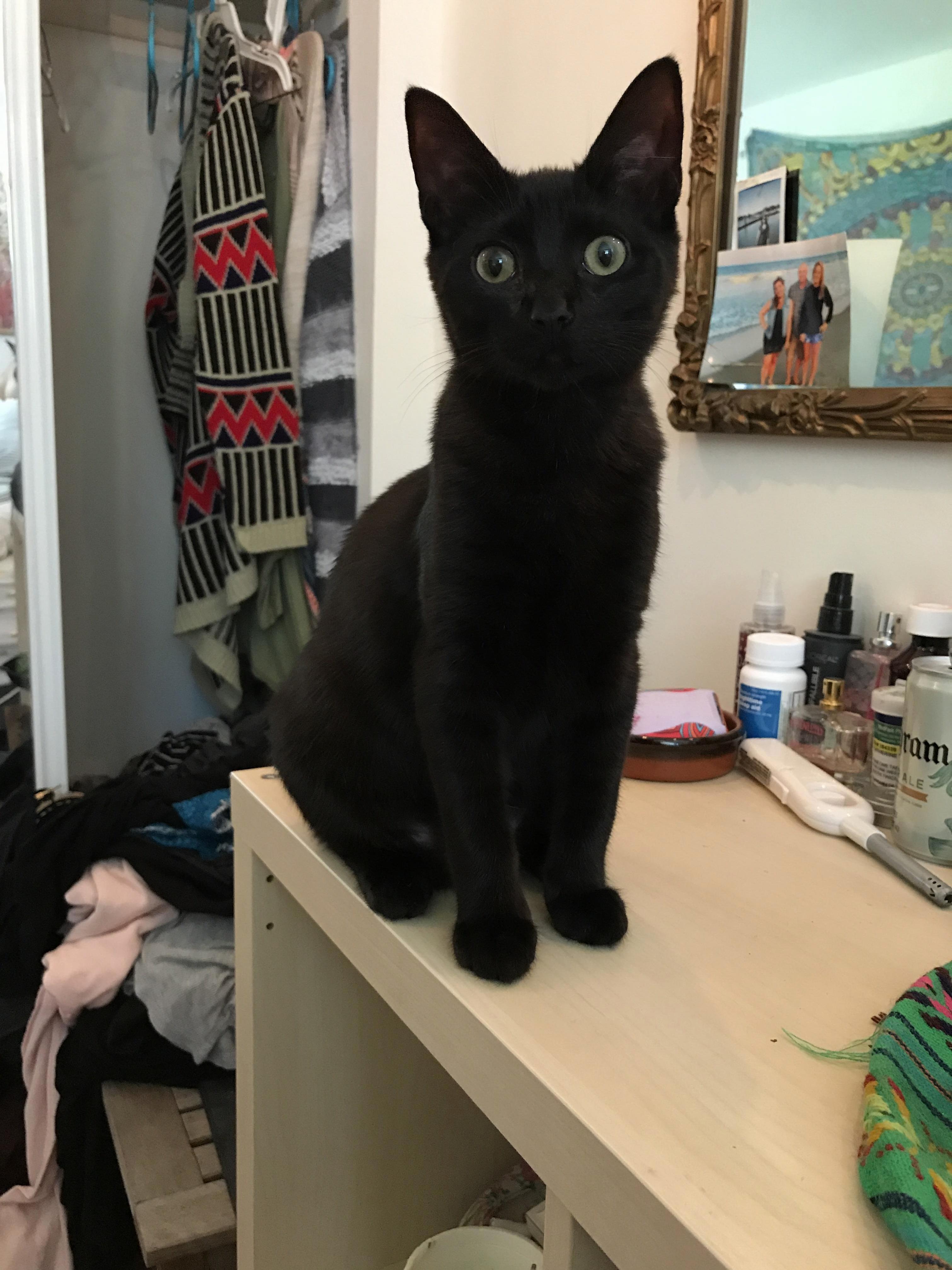 My What Big Eyes You Have