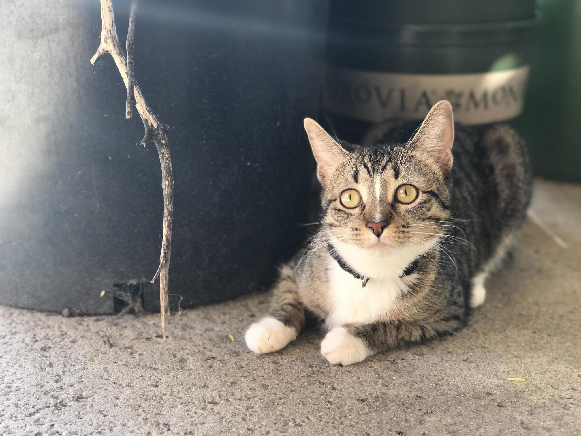 My Youngest Moose Being Photogenic Af