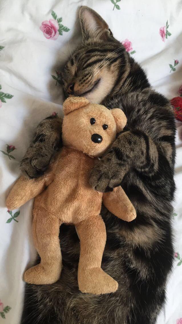 Ned Is Ready for Bed