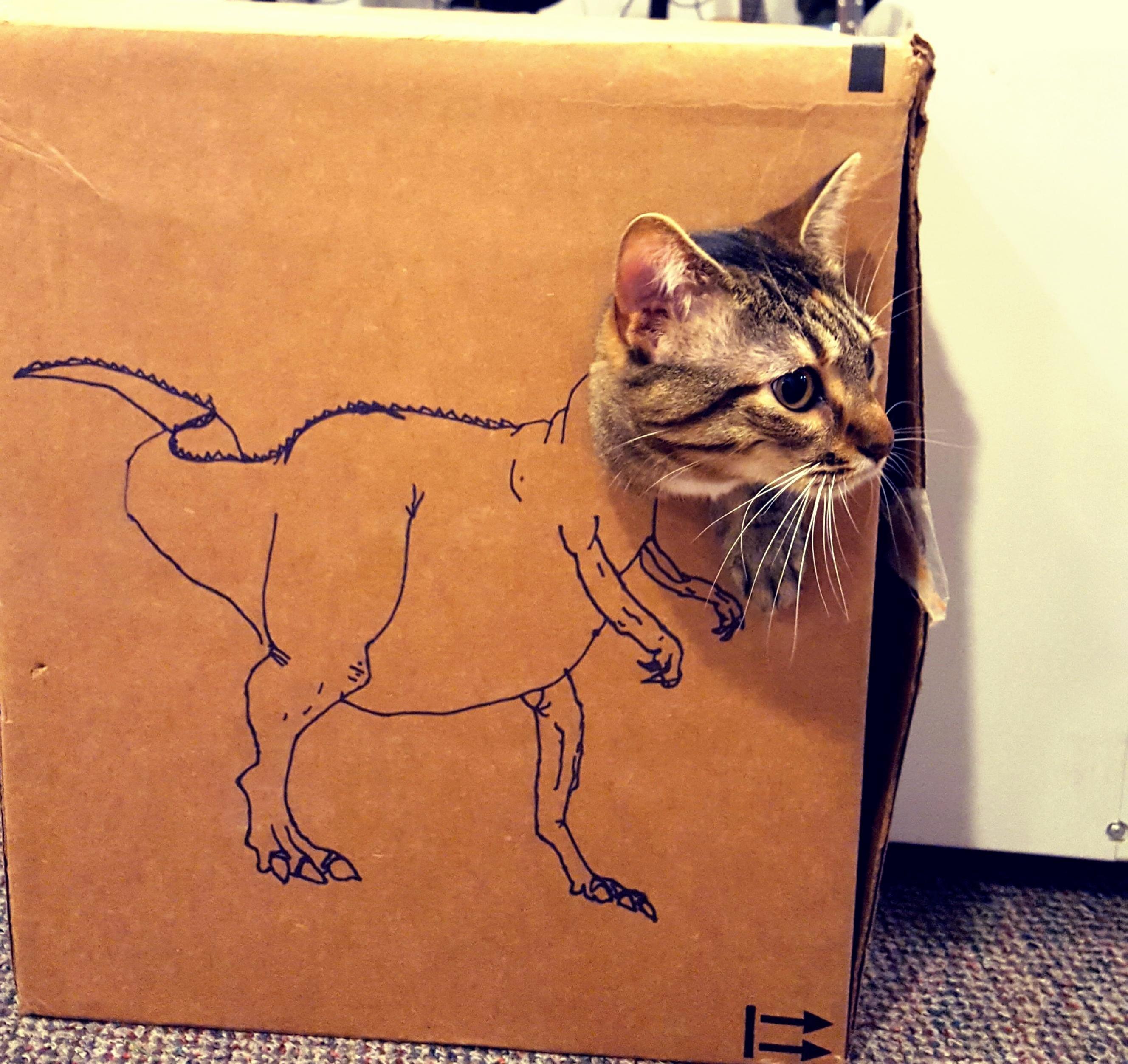 New Species of Dinosaur Discovered from Furassic Era