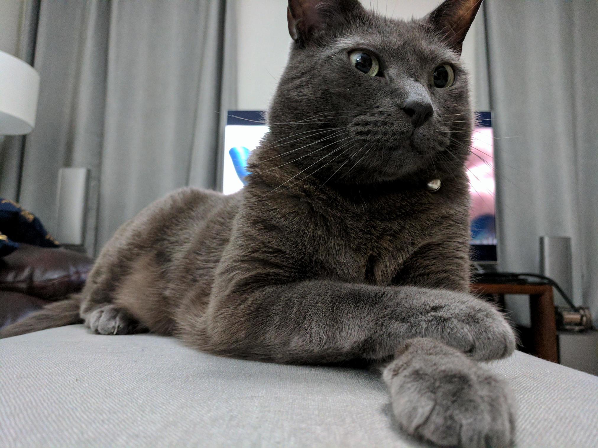 Oh So You Want to Watch Tv