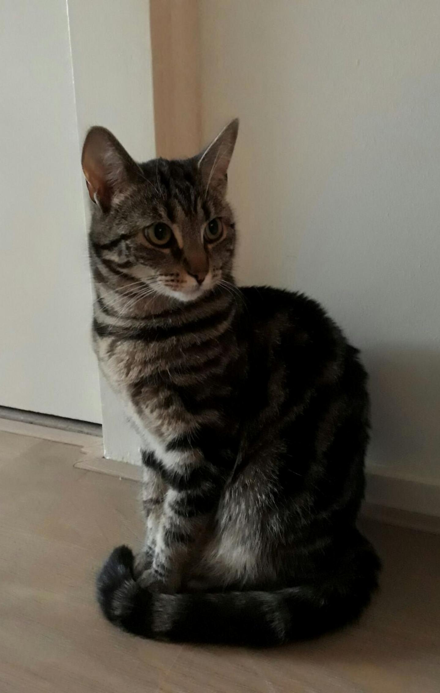 Our Latest Addition to the Family. Welcome Erwtje