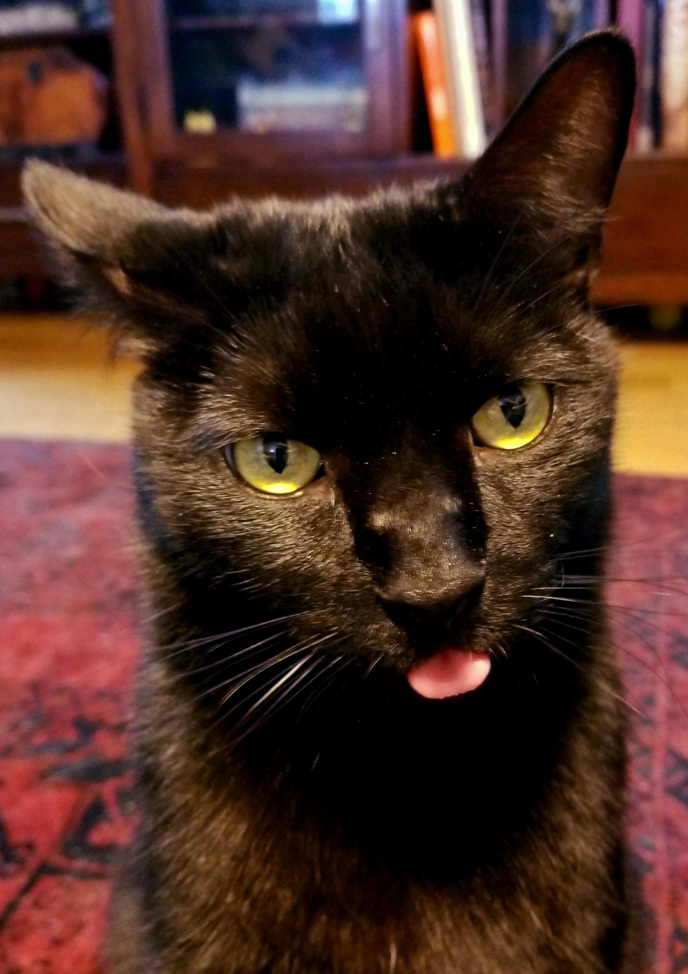 Pbbbbfffft.