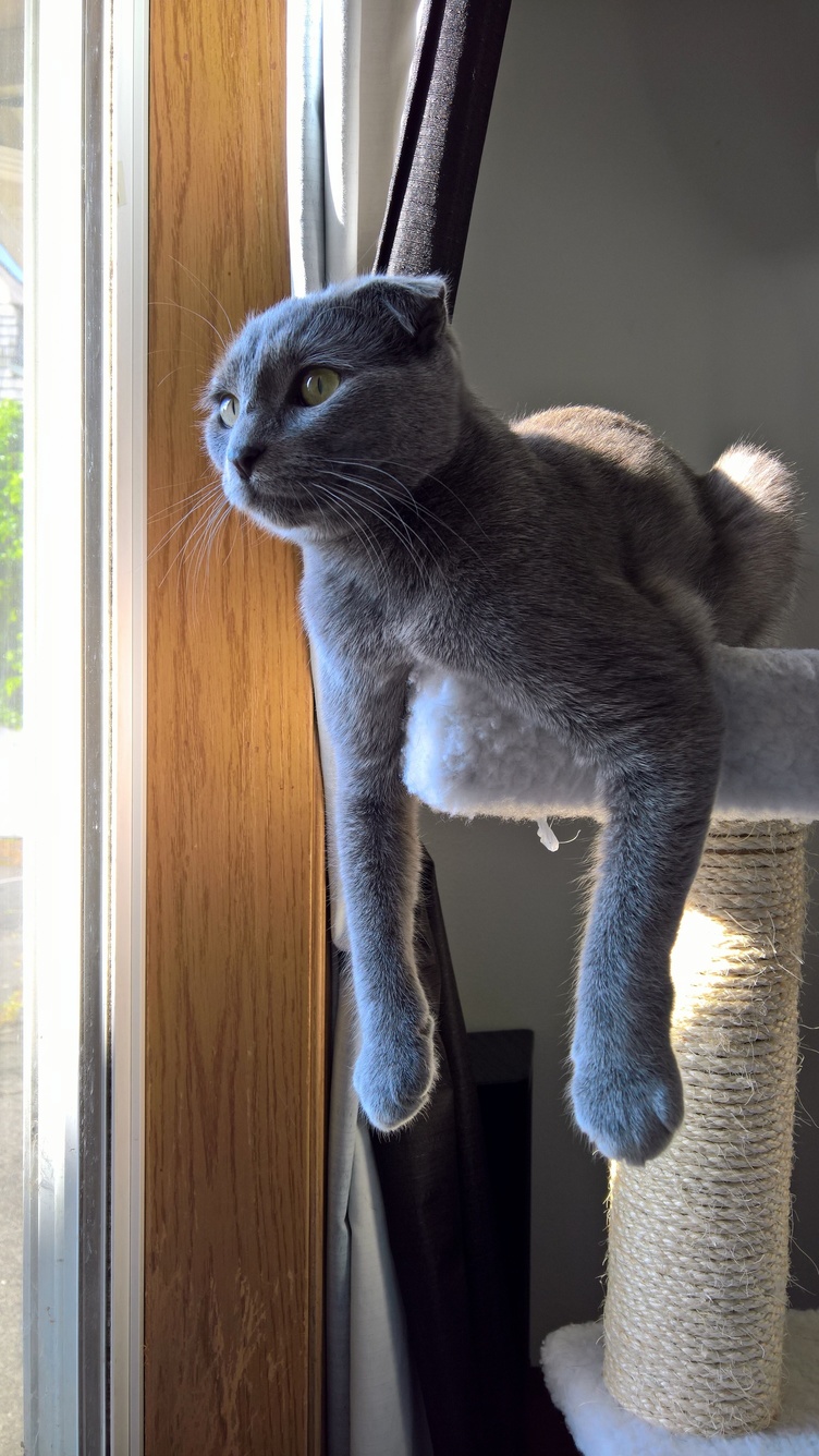 Pepper Sits So Funny Sometimes