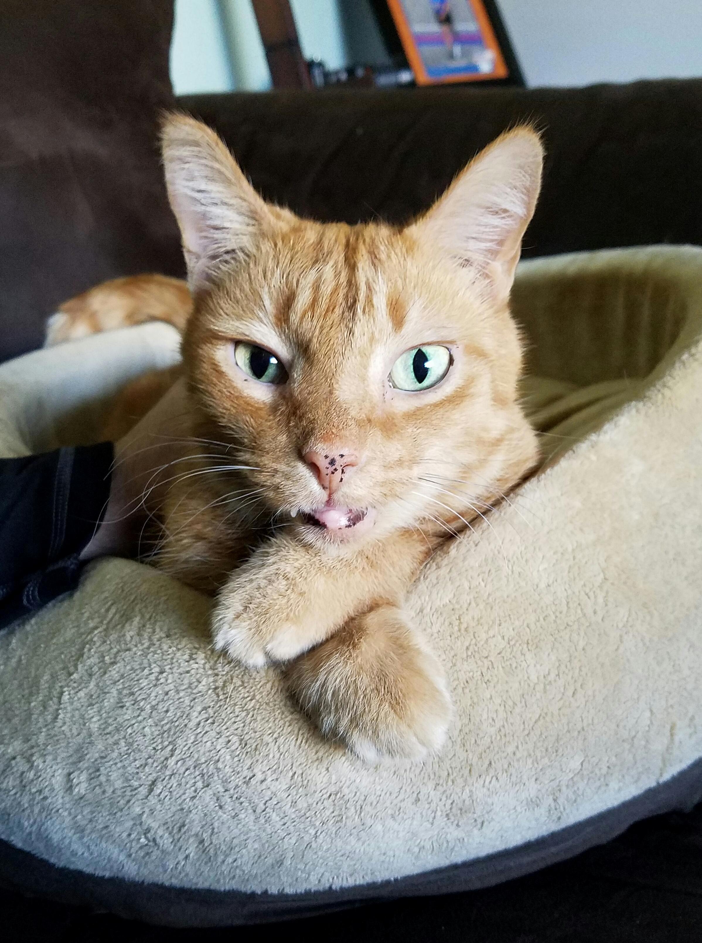 Pj Is Always Interested to Know Your Thoughts.