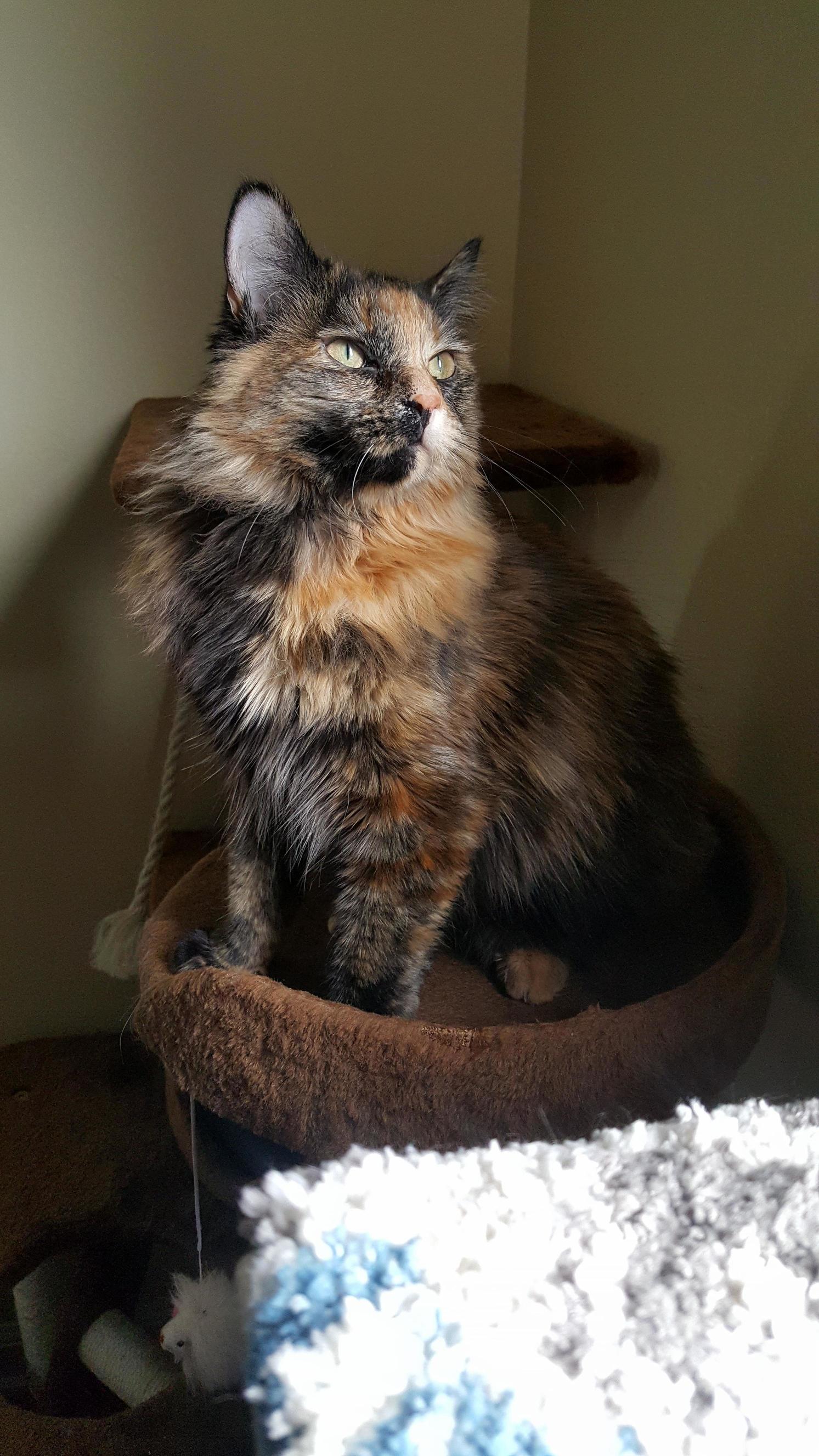 Plotting to Take Over the World As Usual.