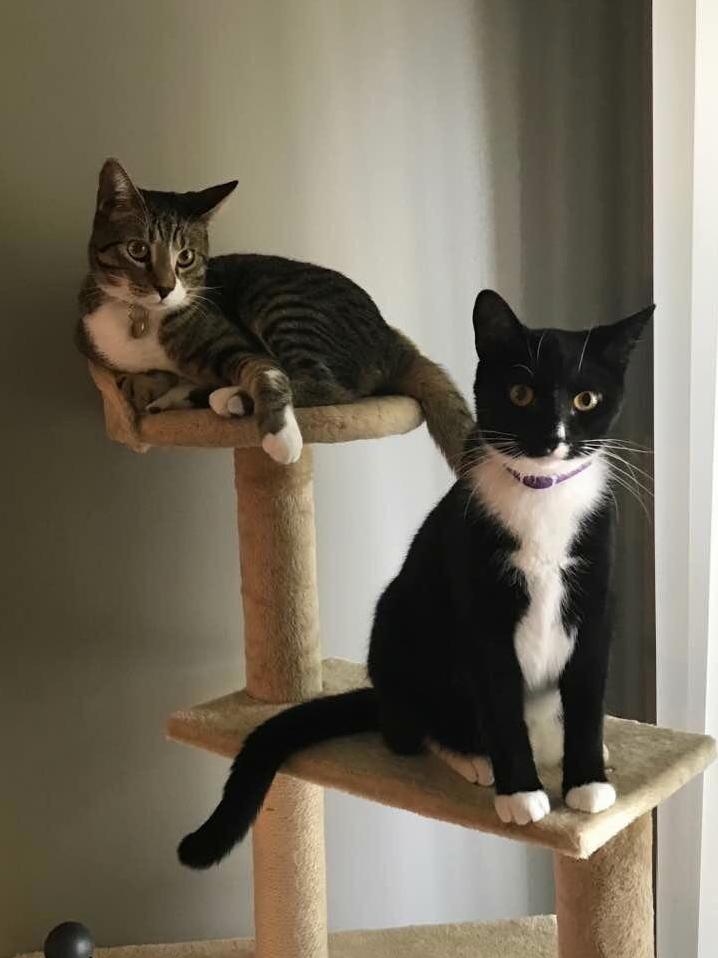 Portrait Day