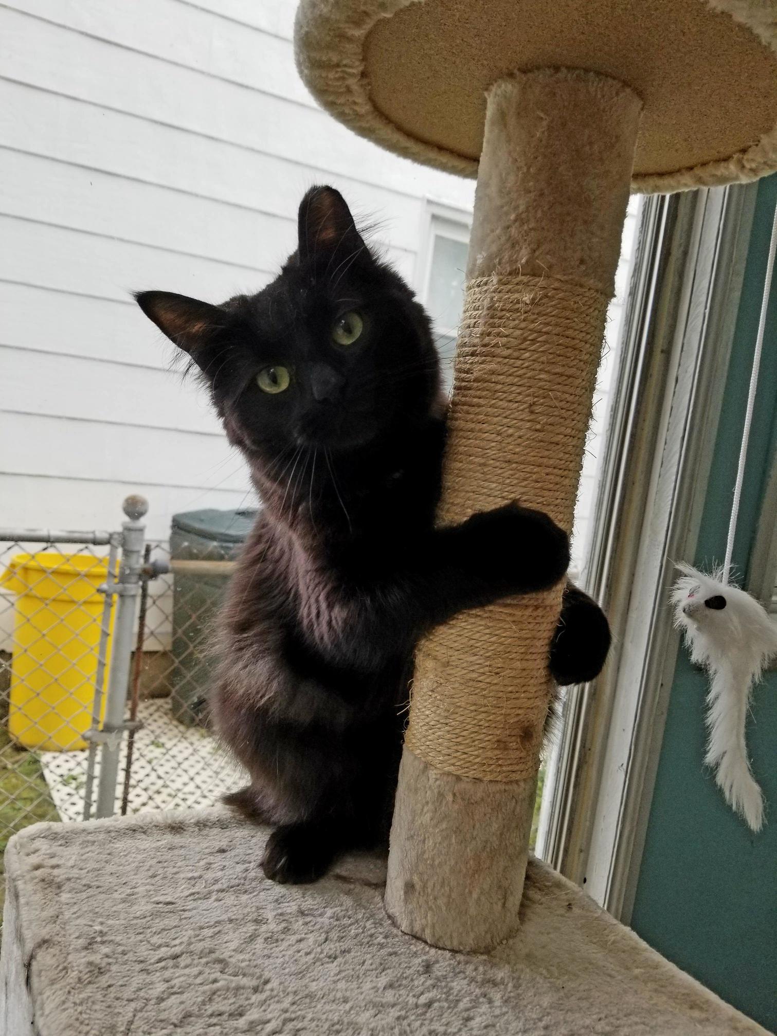 Posing or Pole Dancing
