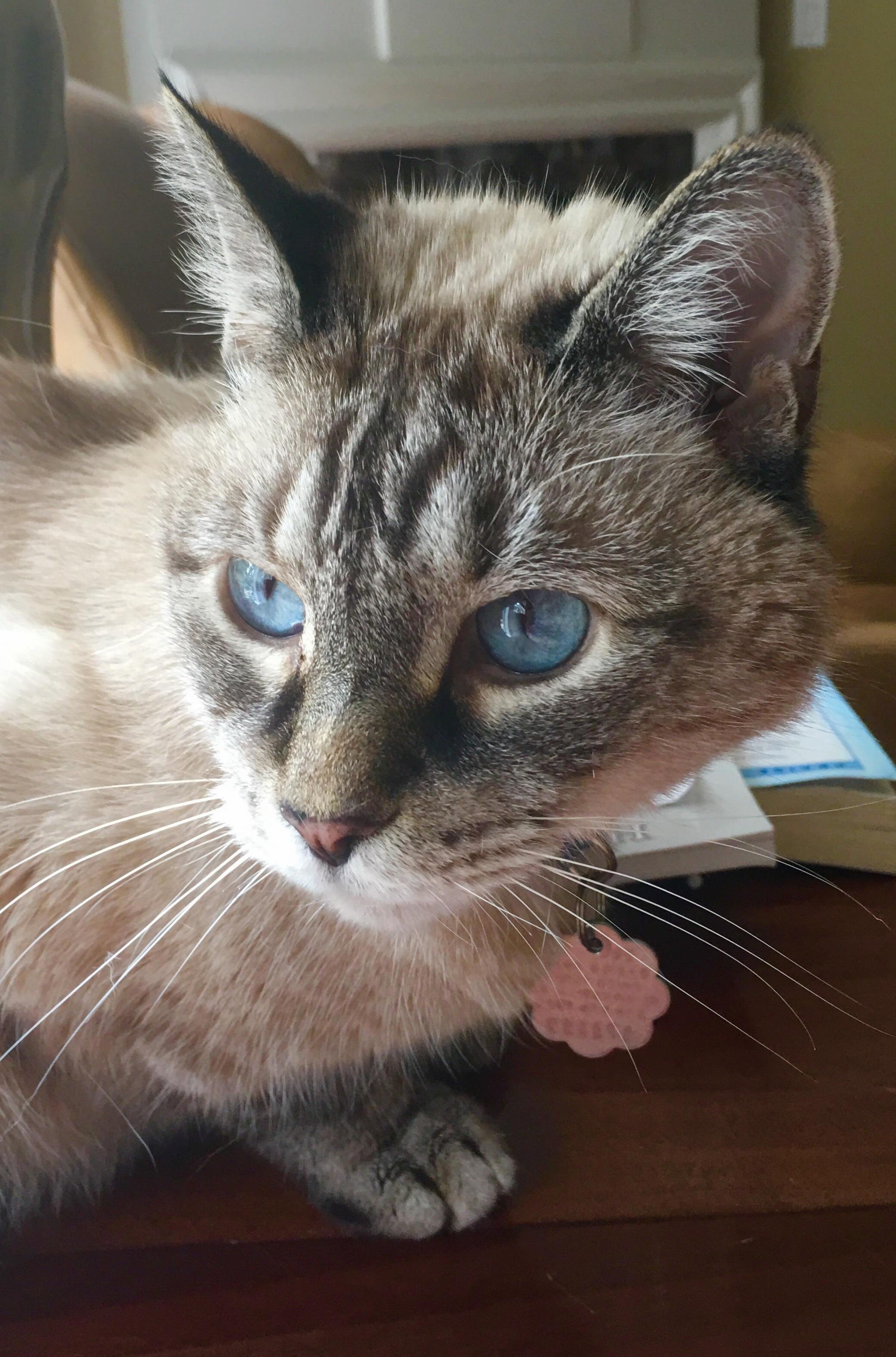 Prince and His Deep Pools of Blue