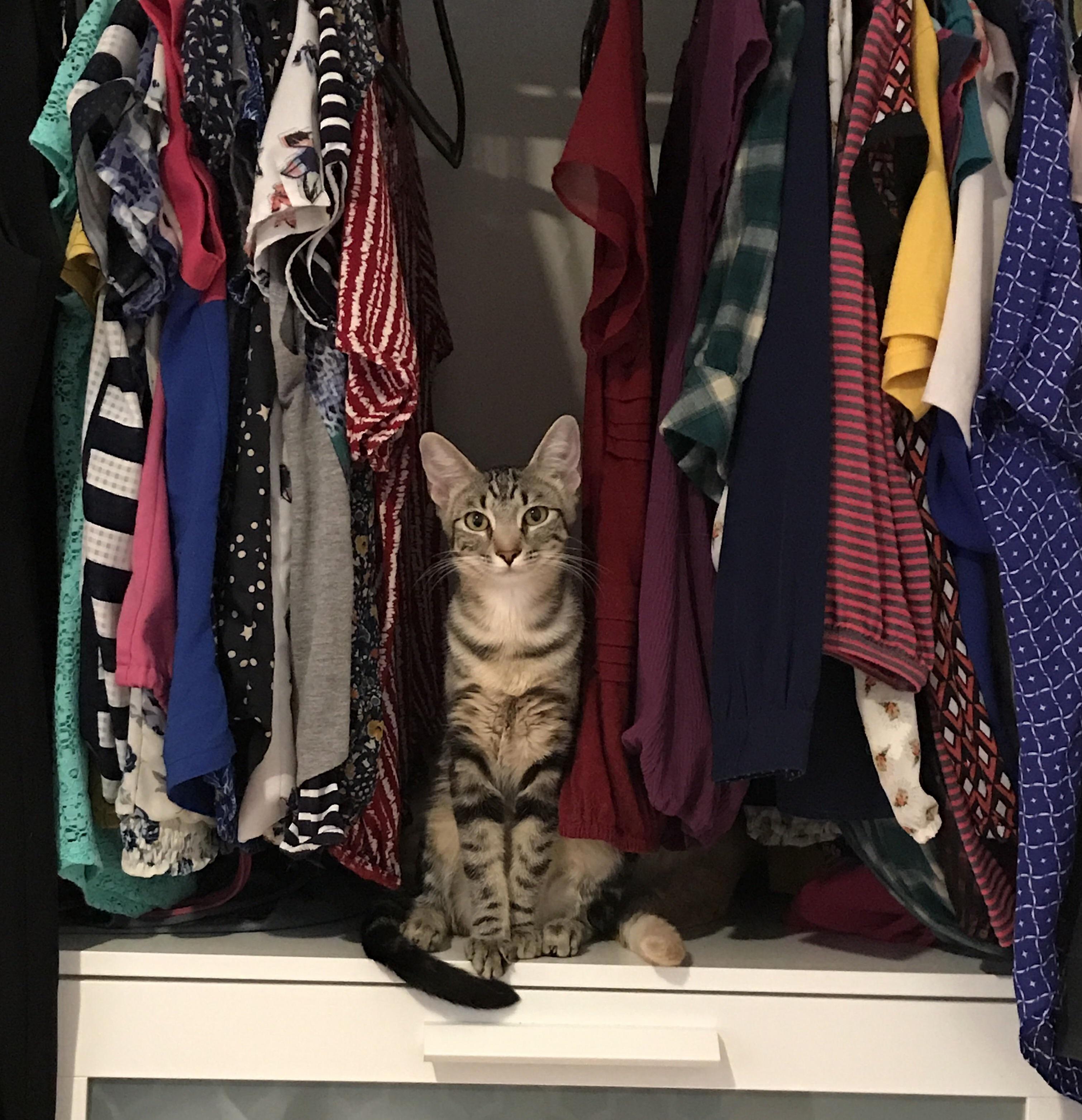 Princess Molly Surveying Her Domains.