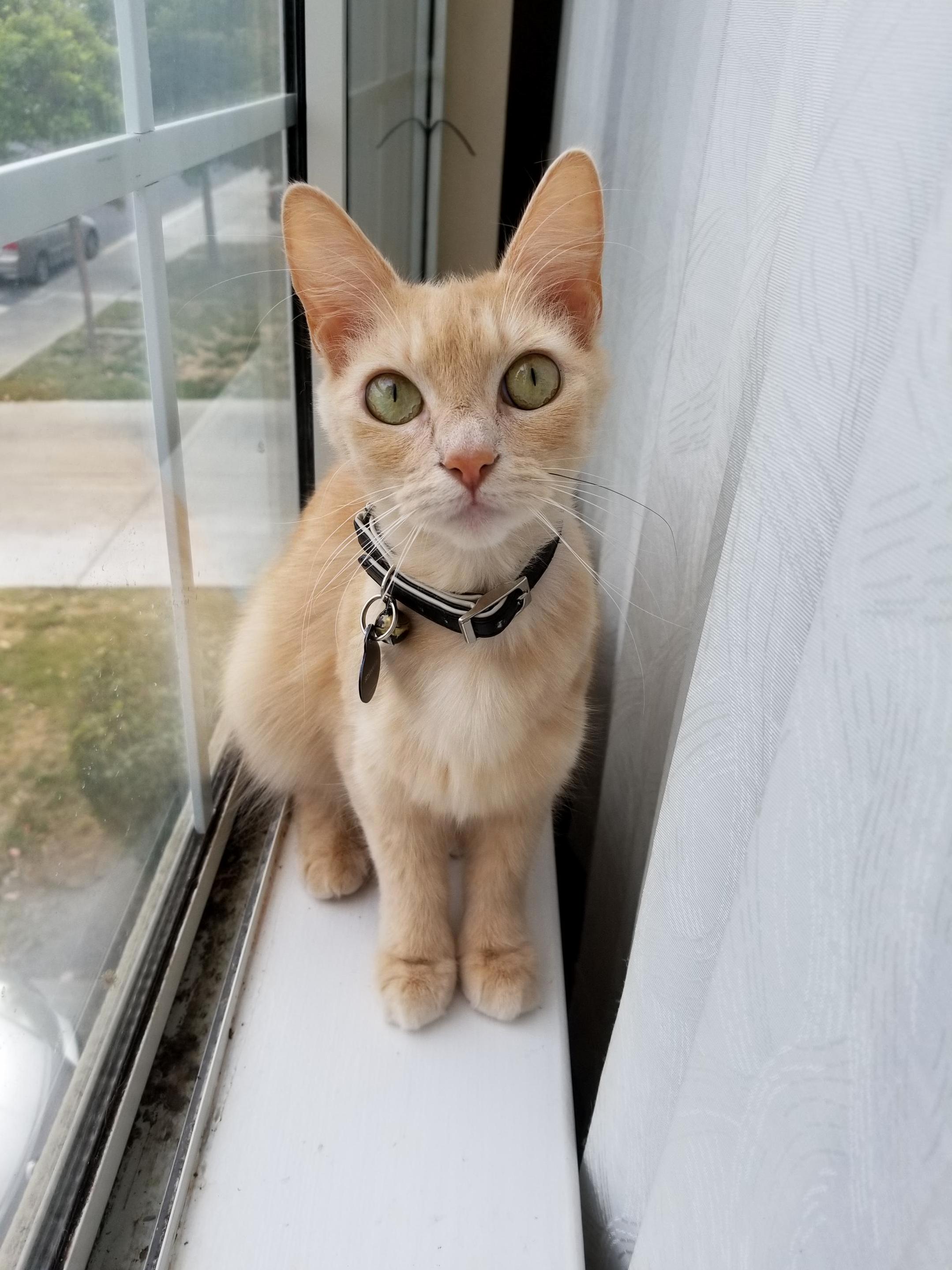 Princess Sansa