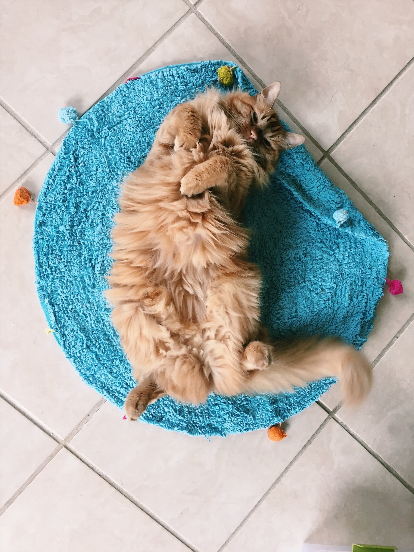 Pure Fluff