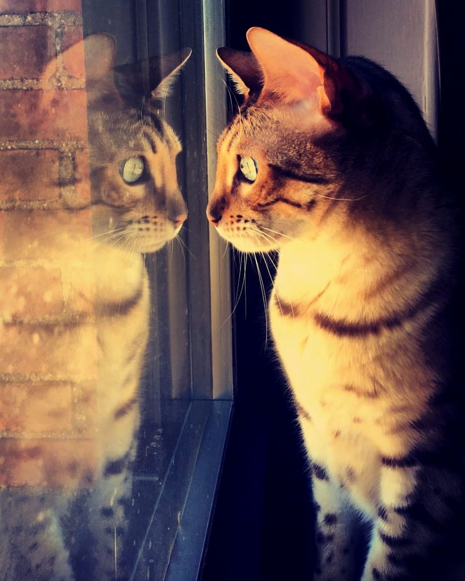 Reflections...