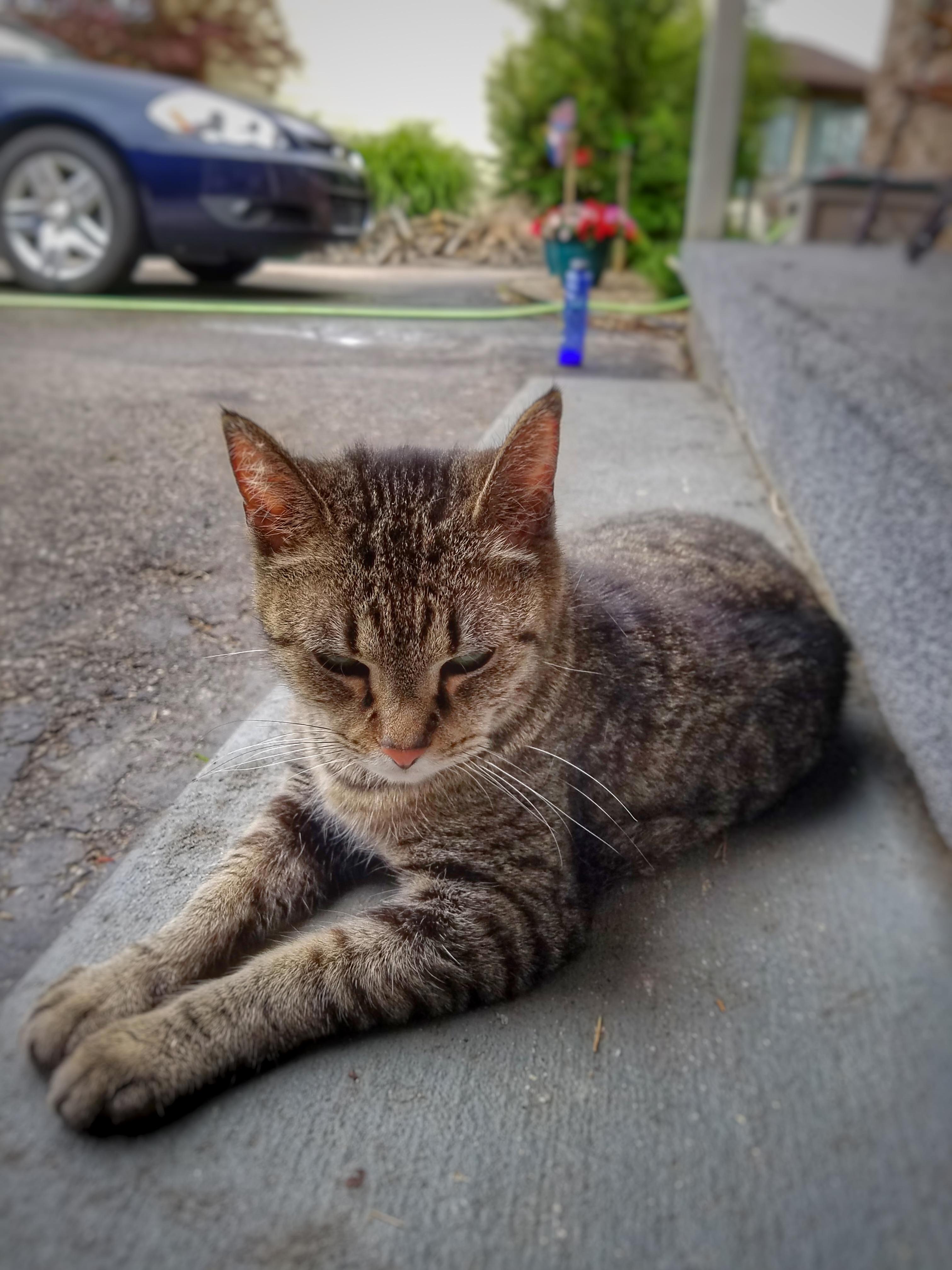 Relaxing from a Tough Day Roaming a Very Hot Neighborhood.