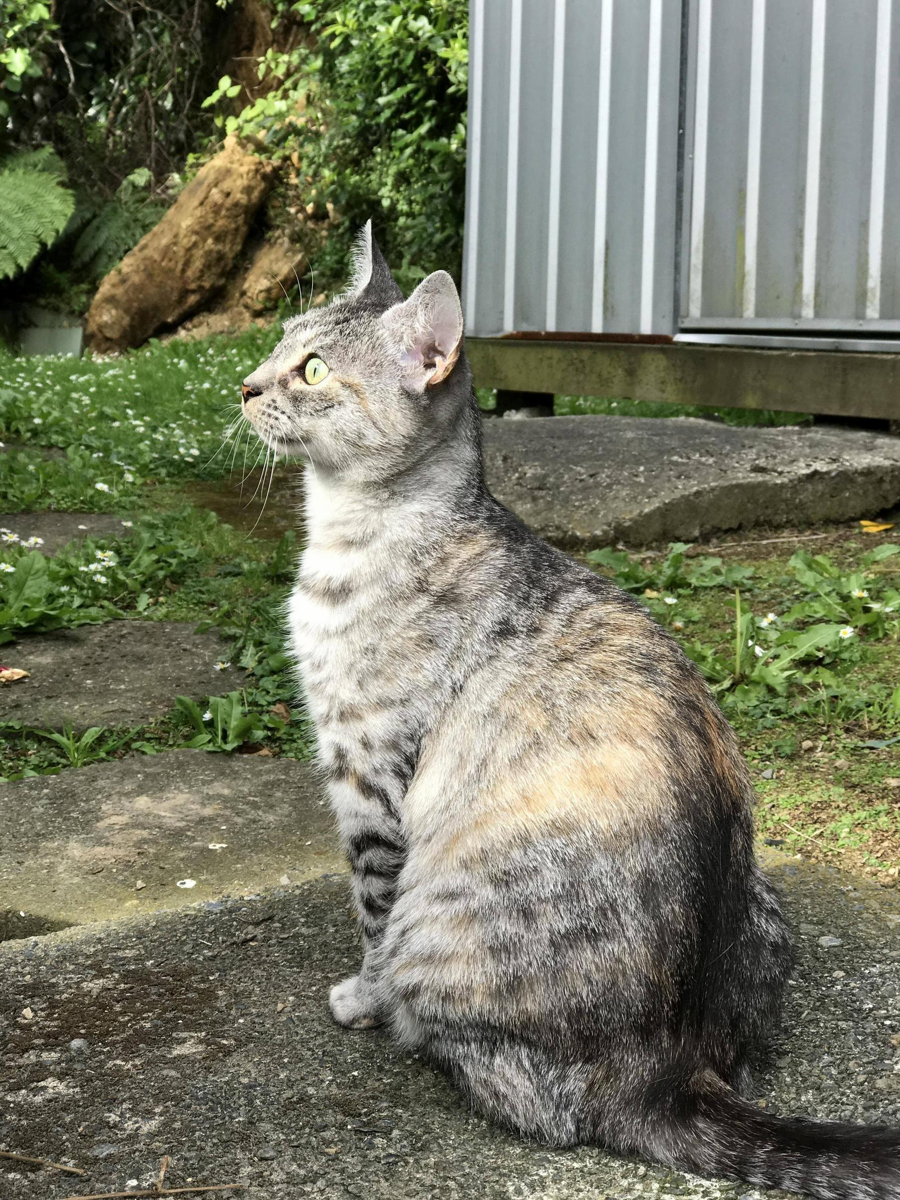 Rescued Her 6 Months Ago Today. Now Shes Rescuing Me